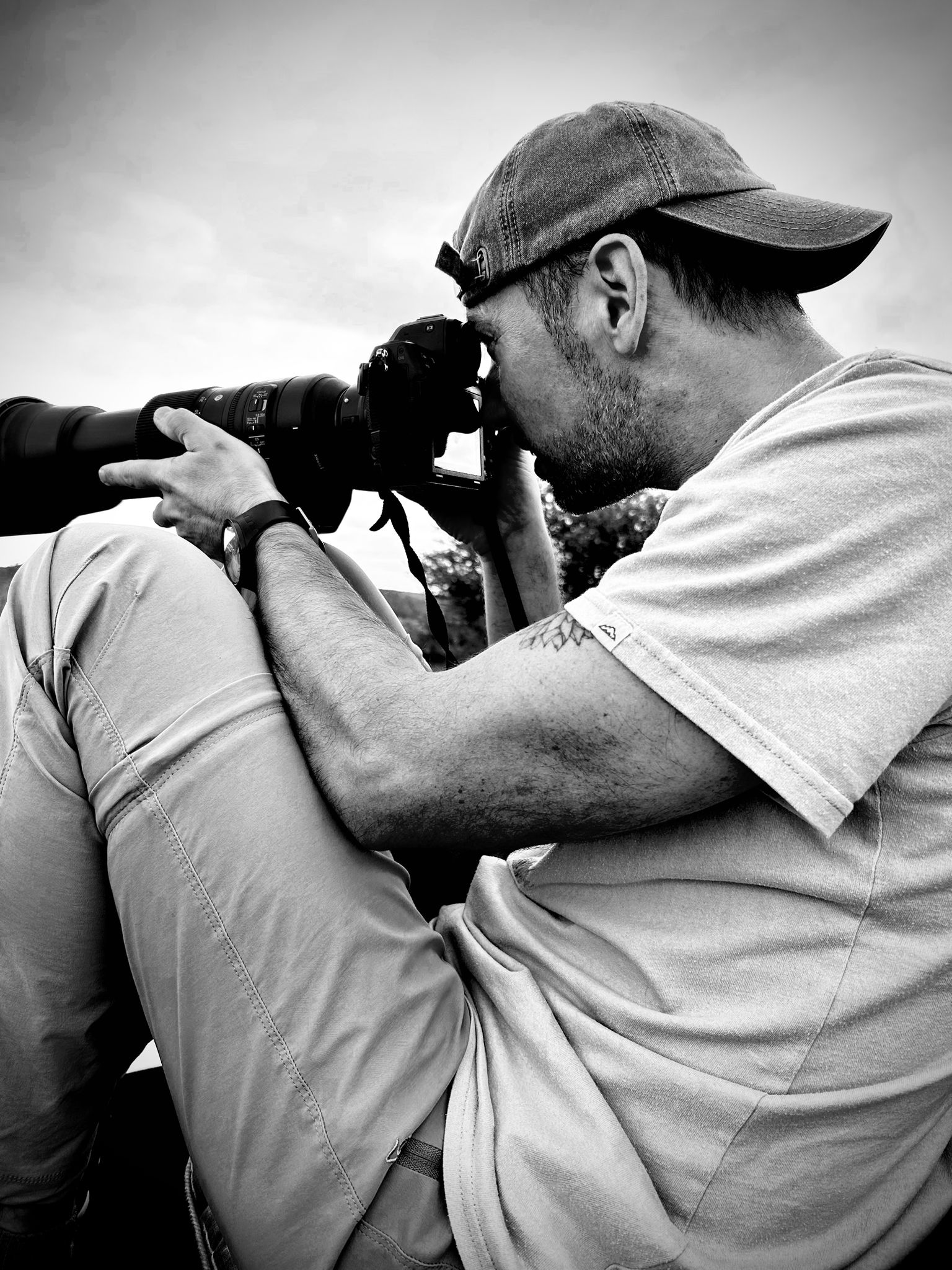 From the Nikon D7100 to the mirrorless Z8
