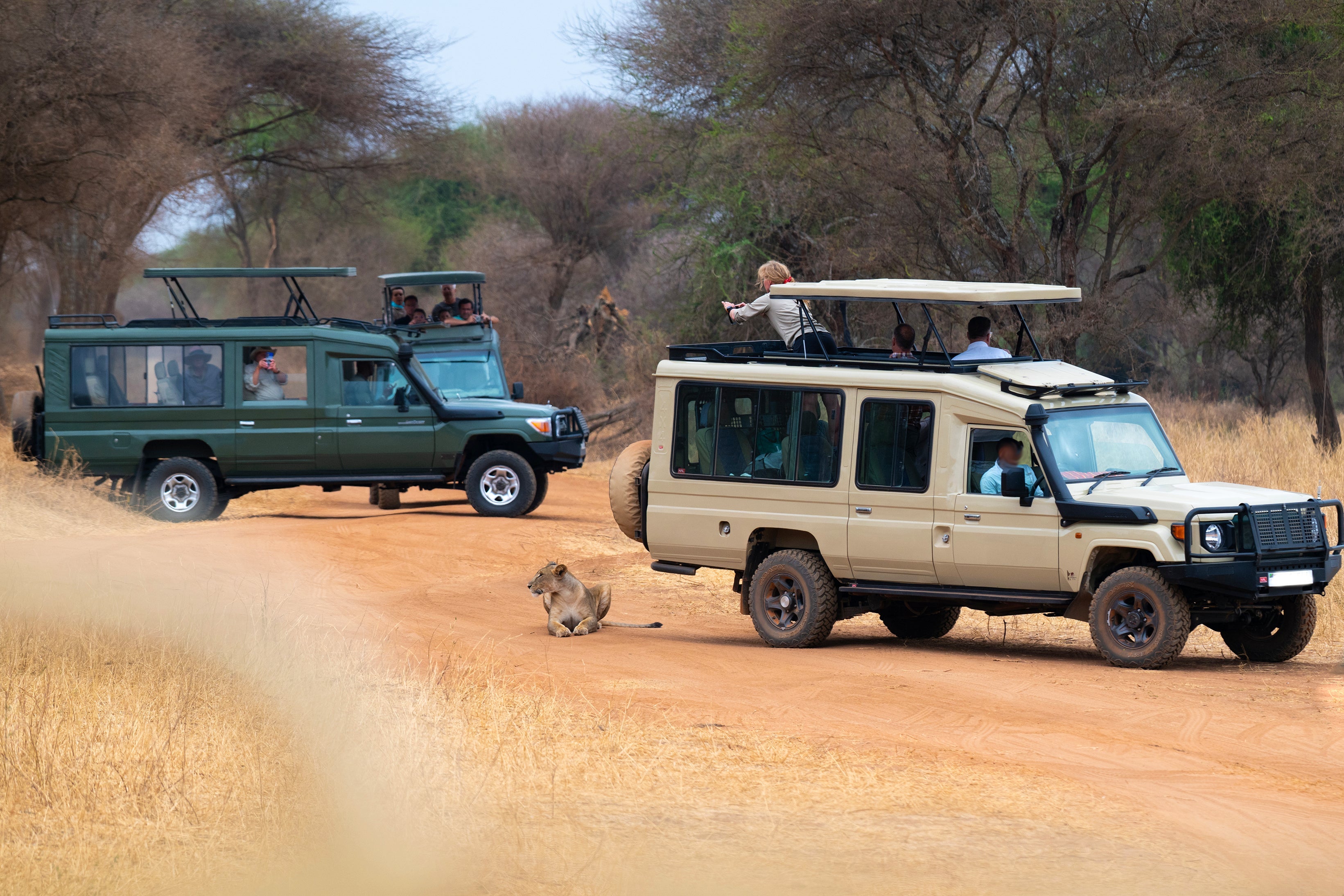What-to-expect-on-a-safari André Lehmann PhotographieWildlife Photography