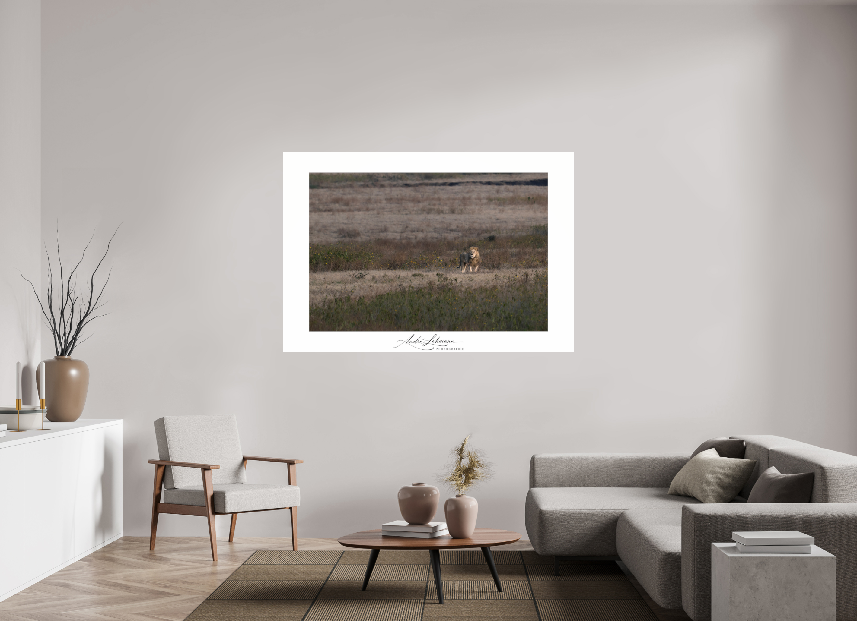 173.8 x 120 cm, Photo Print Under Acrylic Glass A lion surveys its territory