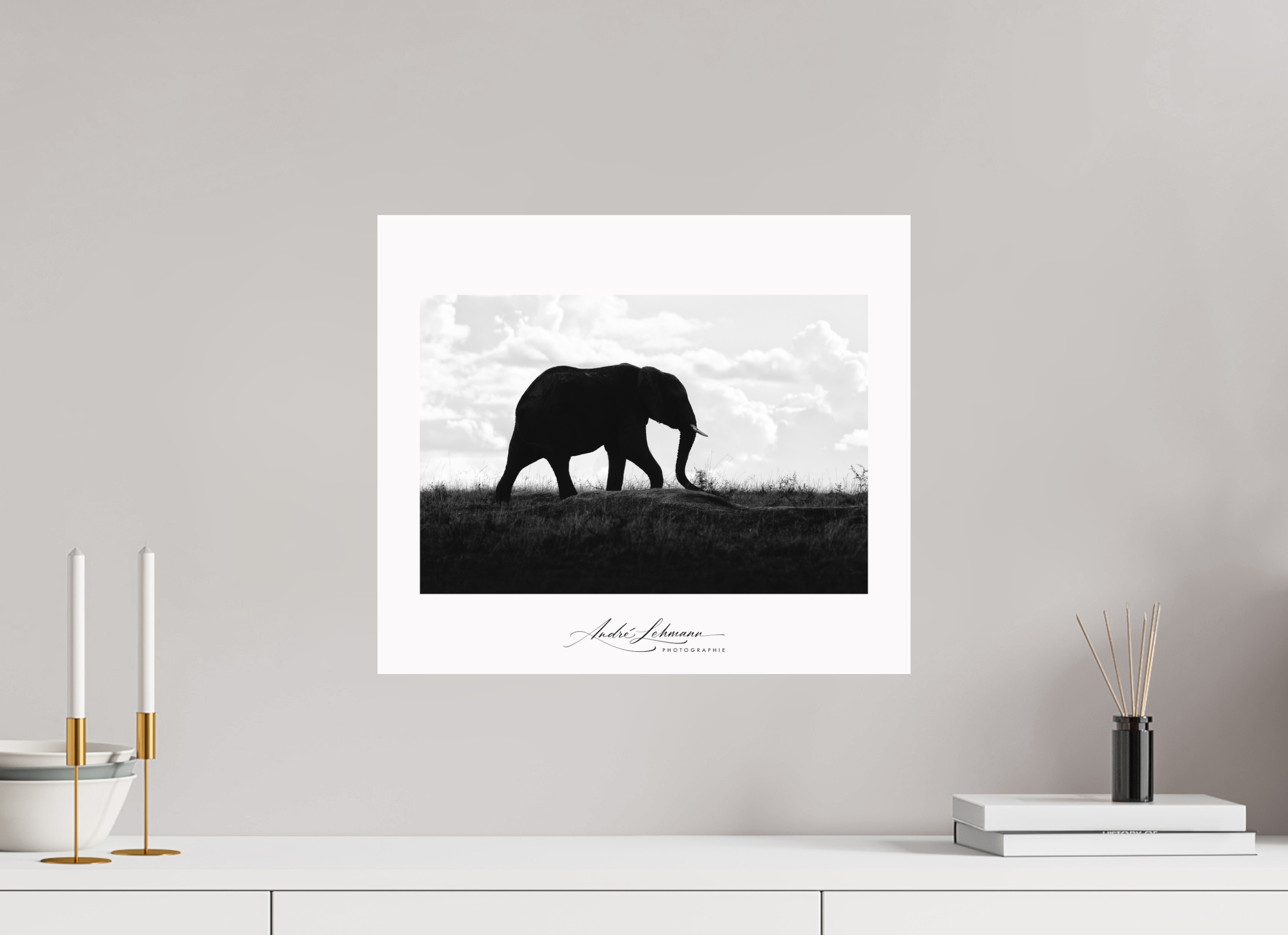 46.5 x 40 cm, Foto-Druck auf Alu-Dibond Elephant strolling
