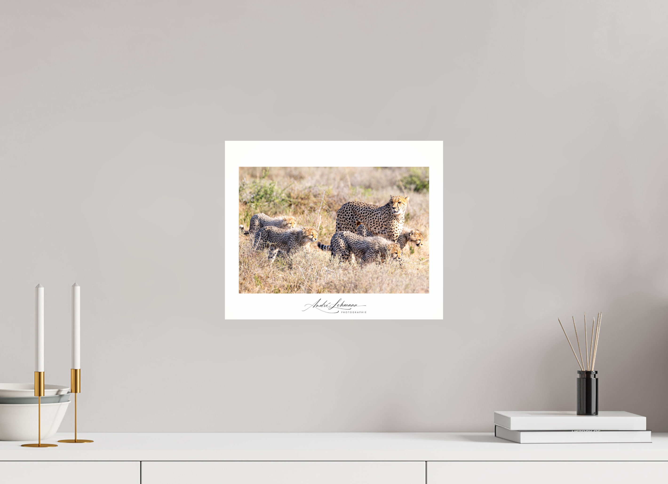 36.6 x 30 cm, Photo Print Under Acrylic Glass Cheetah and her cubs