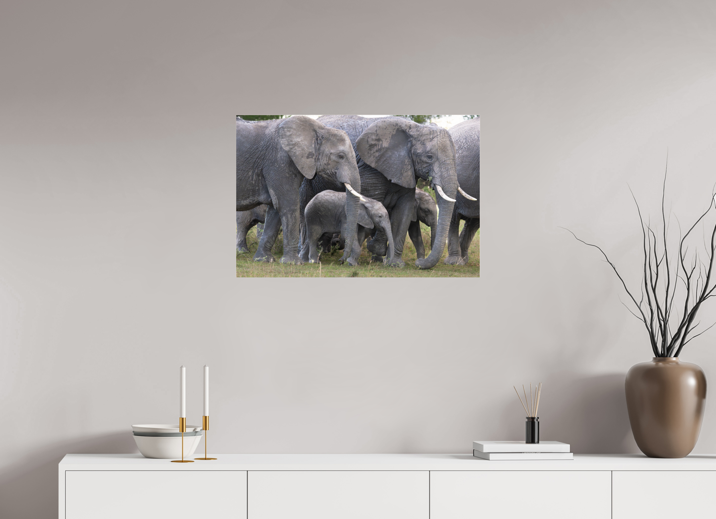 75 x 50 cm, Photo Print Under Acrylic Glass Elephant calf