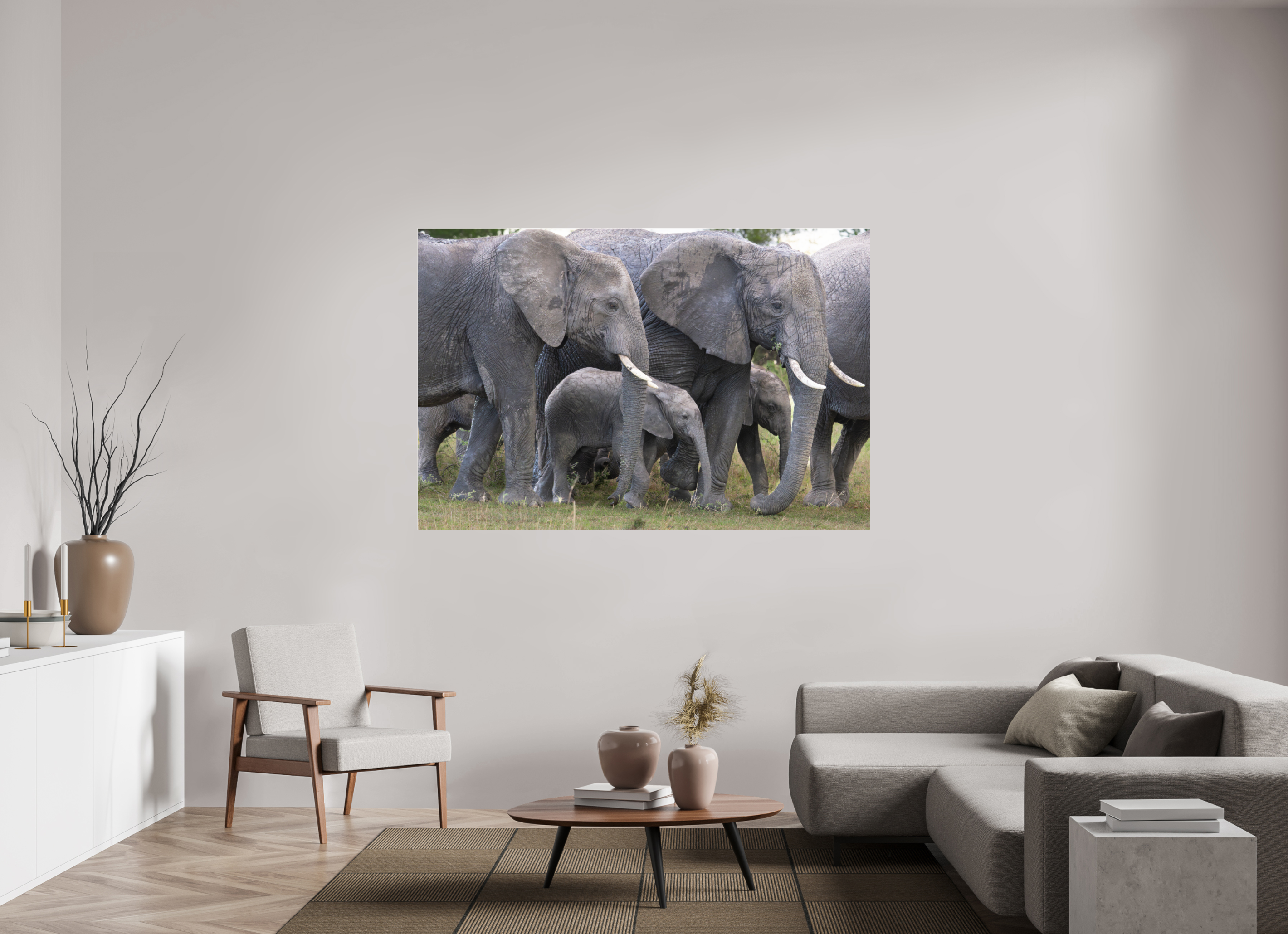 180 x 120 cm, Photo Print Under Acrylic Glass Elephant calf
