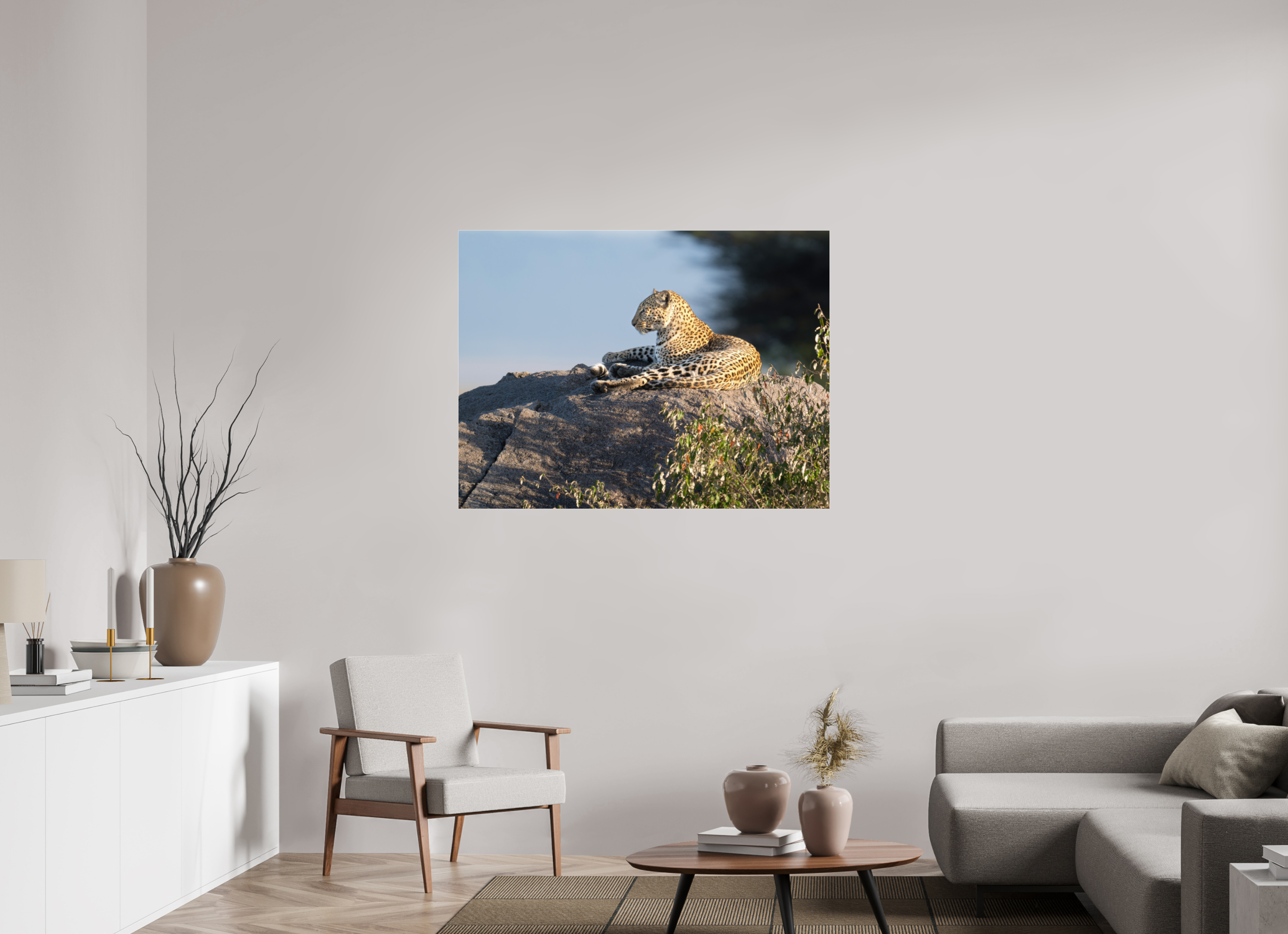 120 x 90 cm, Photo Print Under Acrylic Glass Leopard scanning the horizon