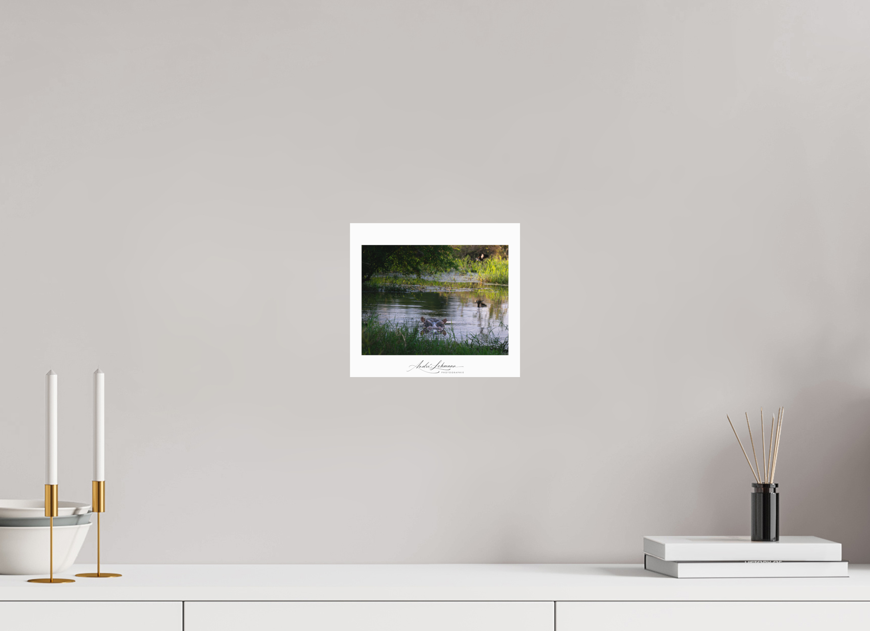 22.1 x 20 cm, Foto-Druck auf Alu-Dibond Hippo in the pond (Alu dibond)