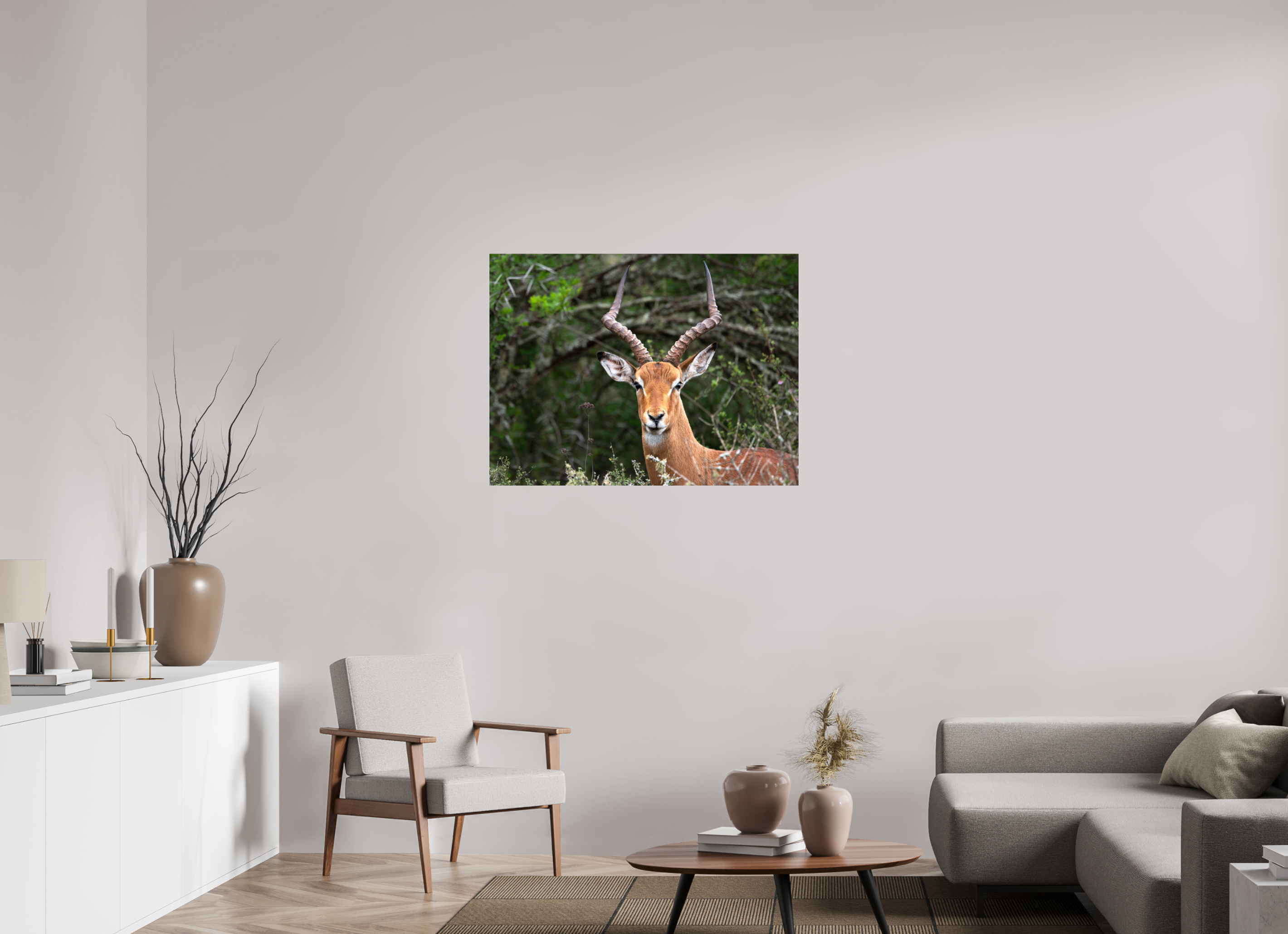 100 x 75 cm, Photo Print Under Acrylic Glass Impala (mo Frame)