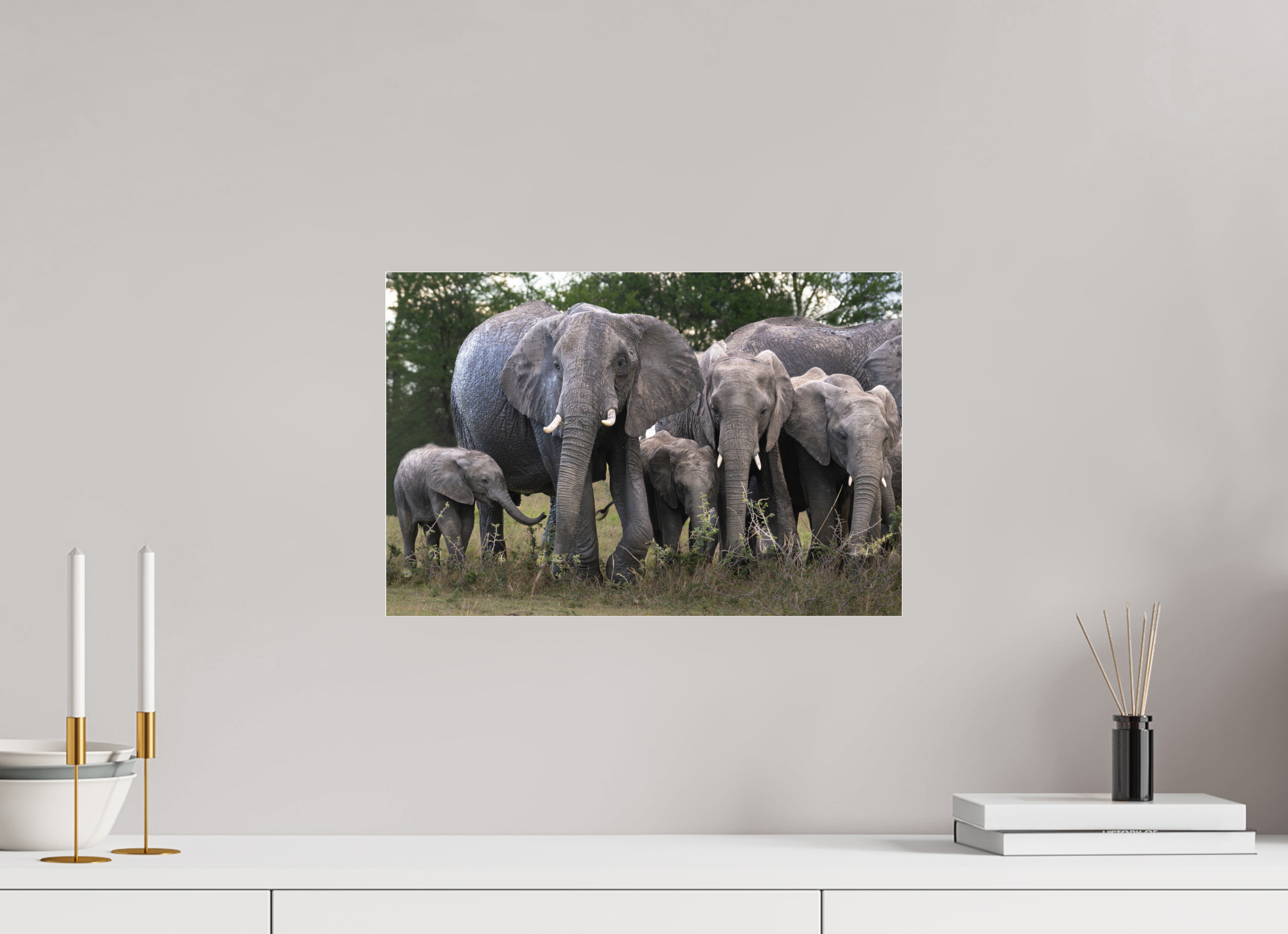 45 x 30 cm, Photo Print Under Acrylic Glass Happy Elephant family (no frame)