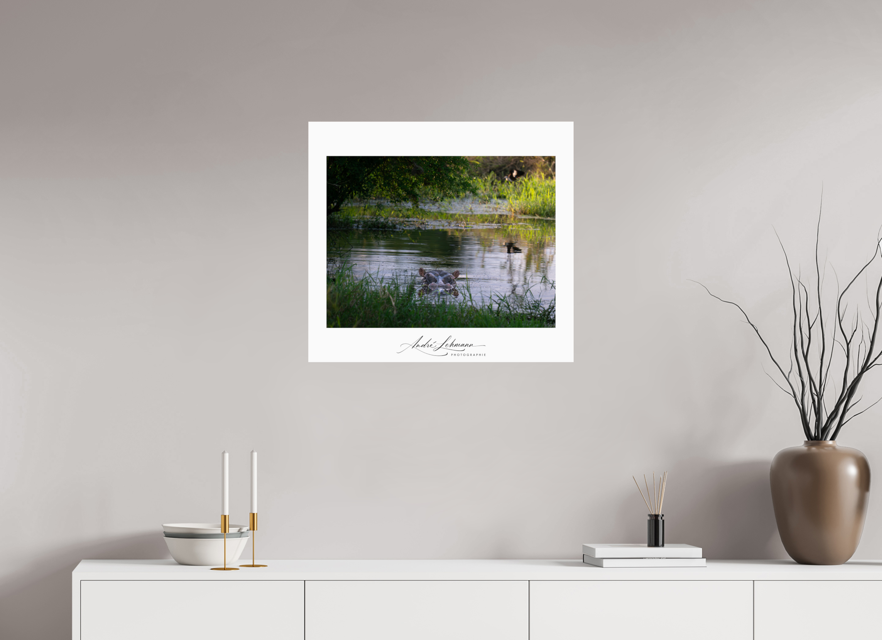 66.2 x 60 cm, Photo Print Under Acrylic Glass Hippo in the pond
