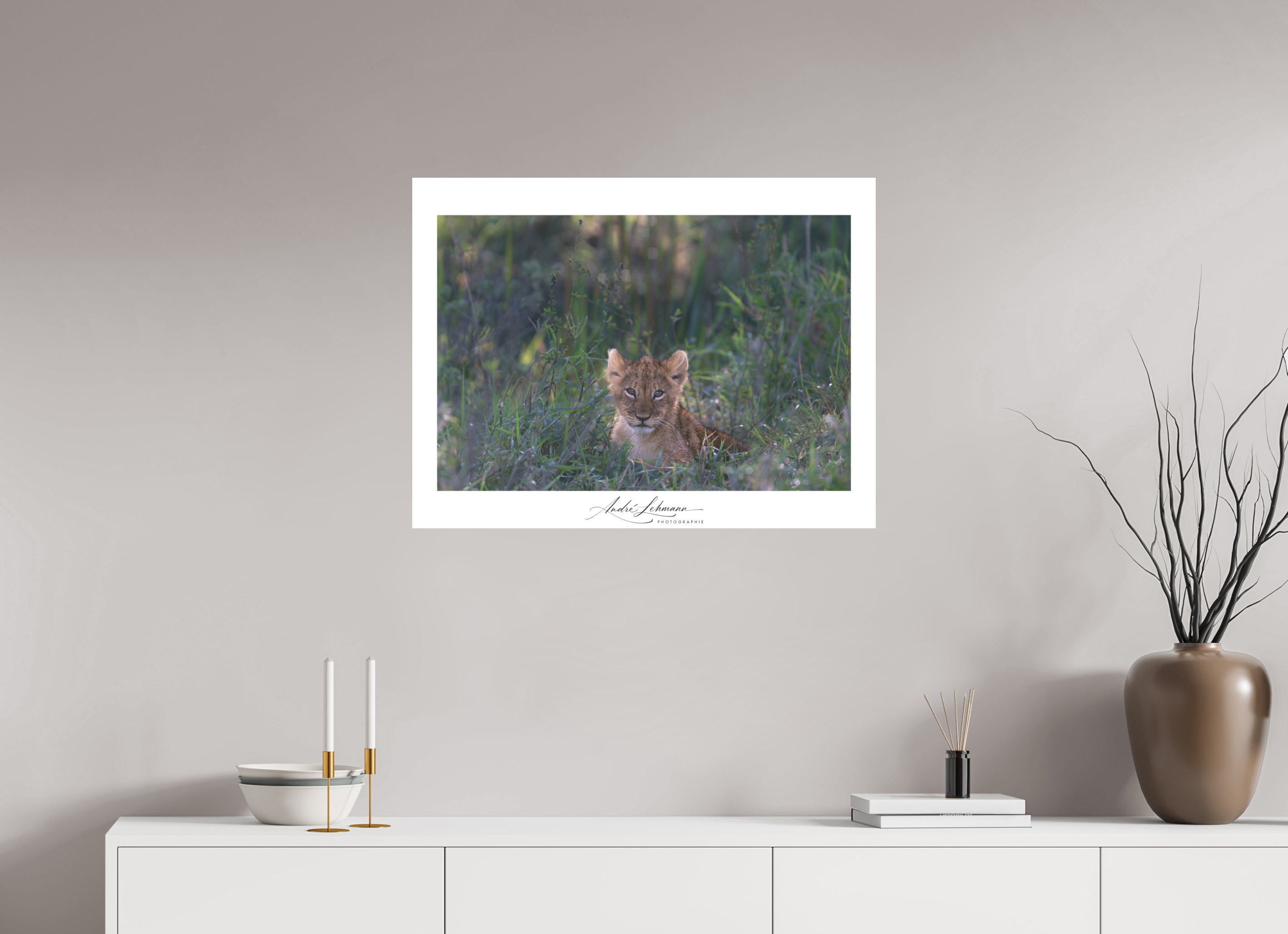 79.3 x 60 cm, Foto-Druck auf Alu-Dibond Lion Cub (Alu Dibond)