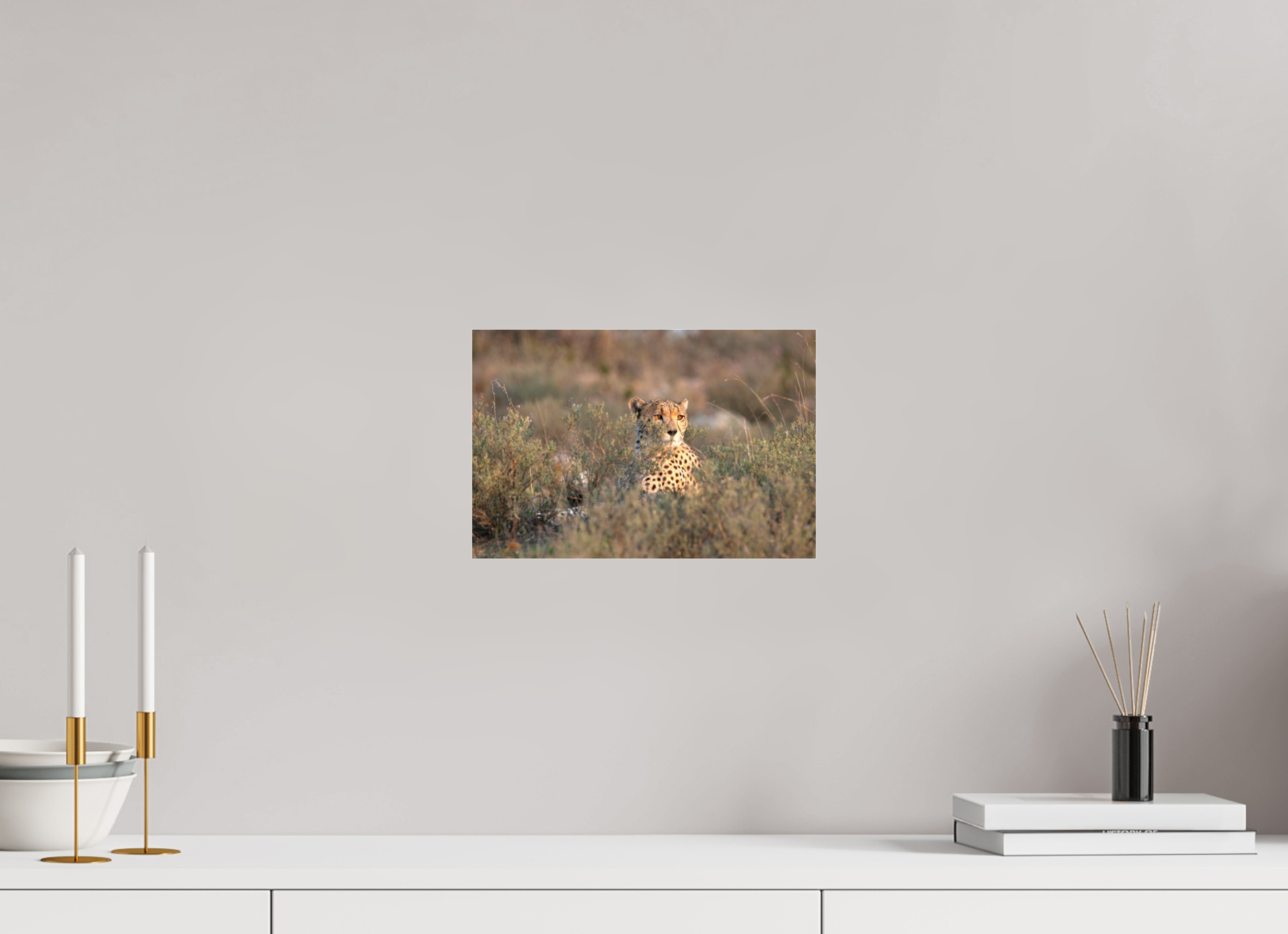 30 x 20 cm, Photo Print Under Acrylic Glass Cheetah in the grass (no frame)
