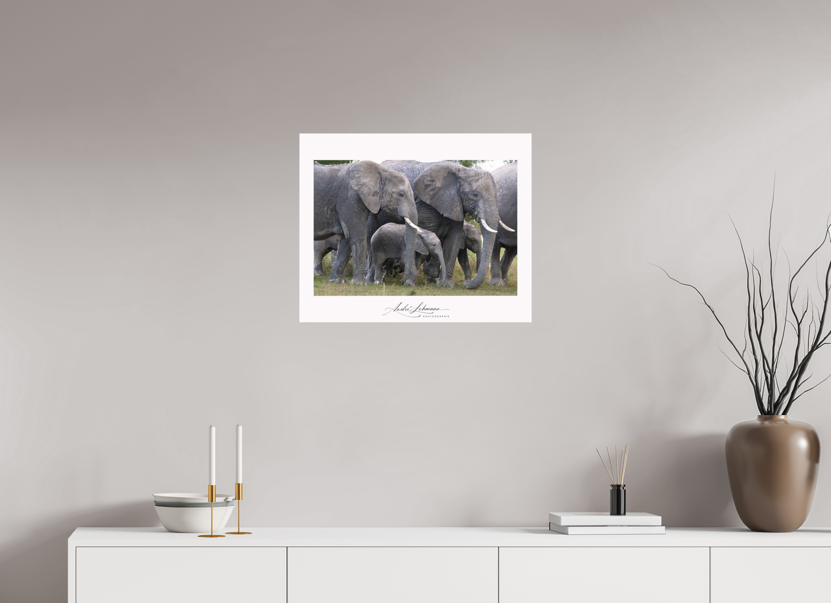 61.5 x 50 cm, Photo Print Under Acrylic Glass Elephant calf