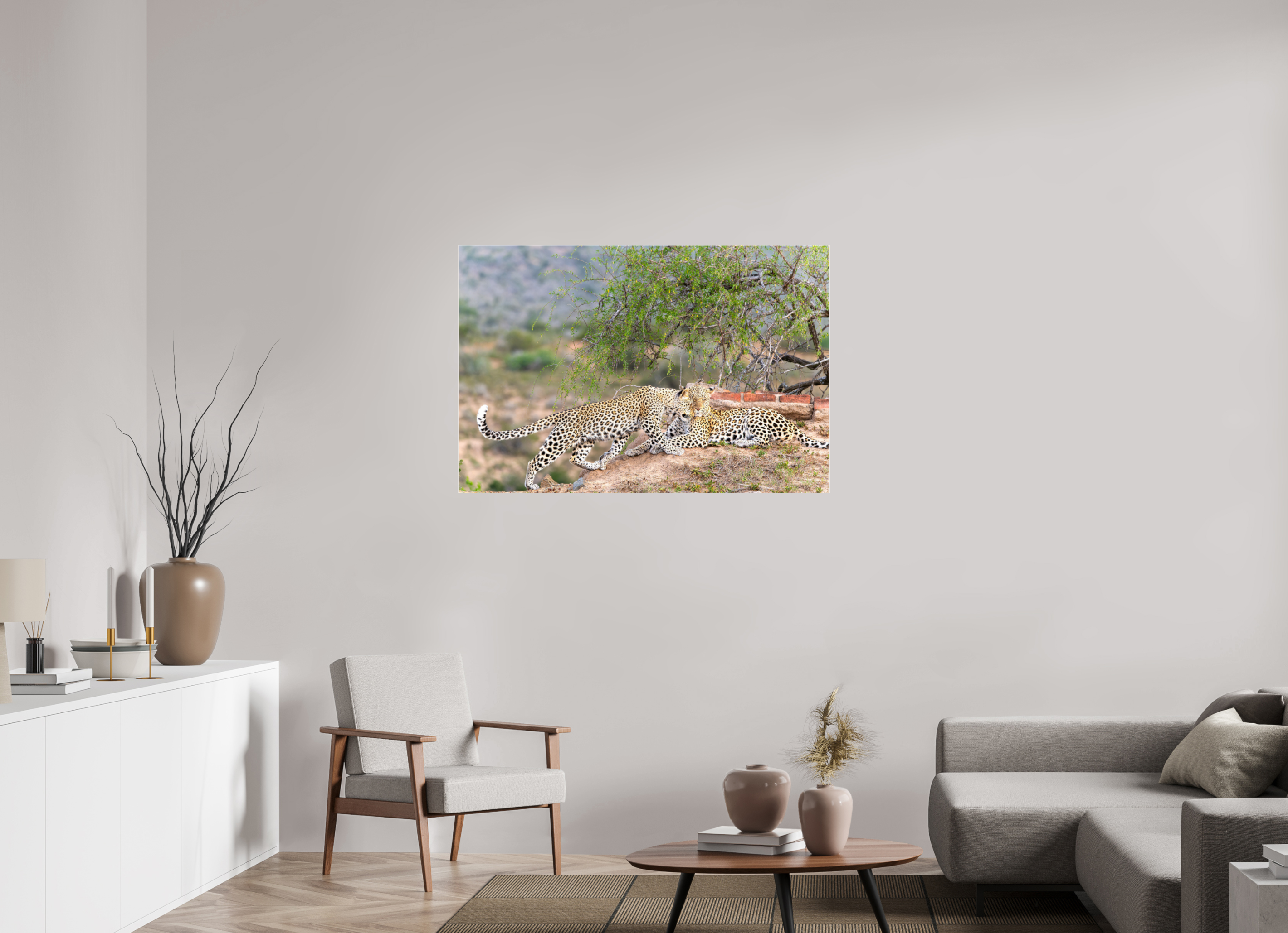 120 x 80 cm, Photo Print Under Acrylic Glass Two Leopards