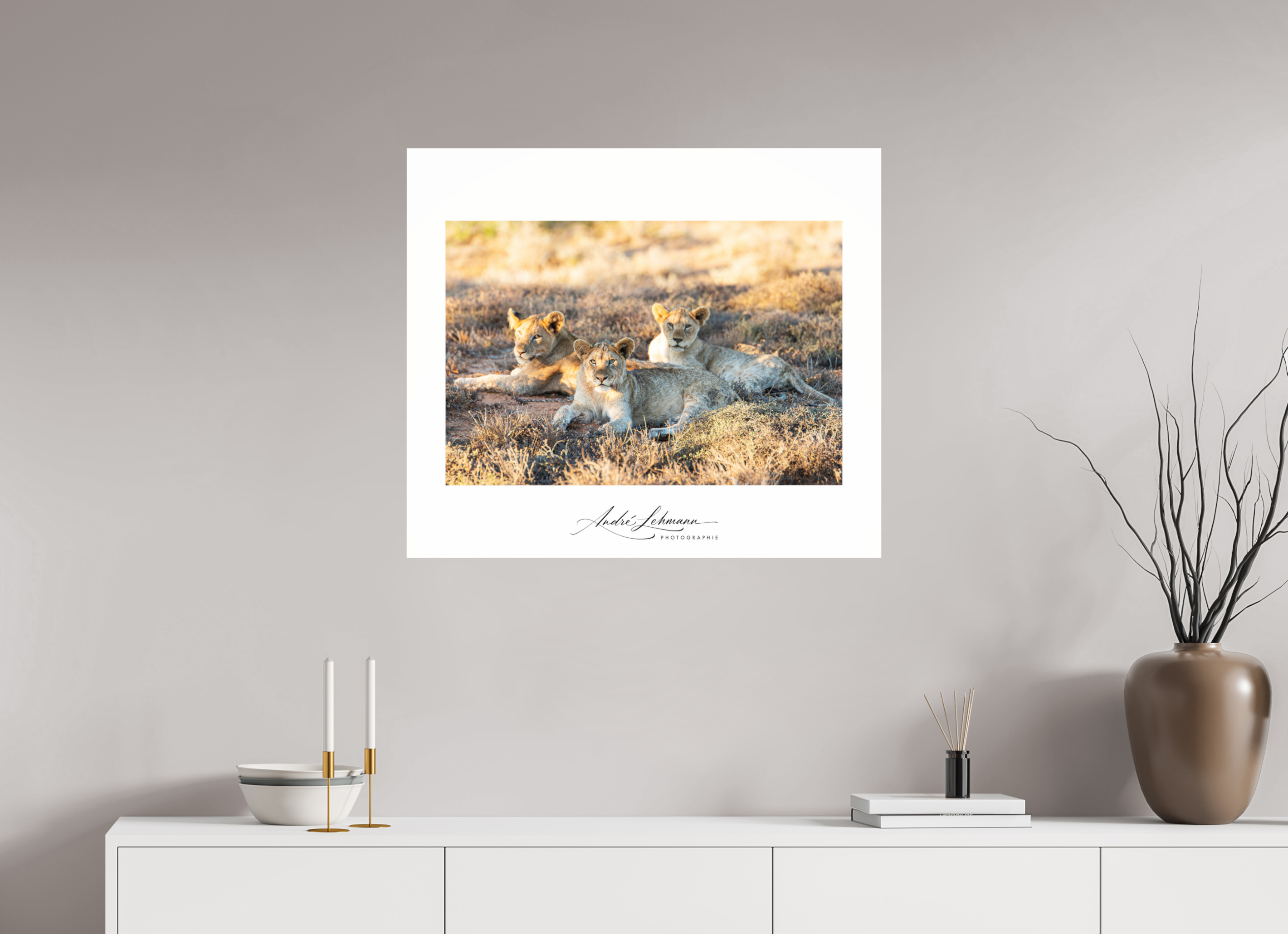 81.1 x 70 cm, Photo Print Under Acrylic Glass Lion Cubs