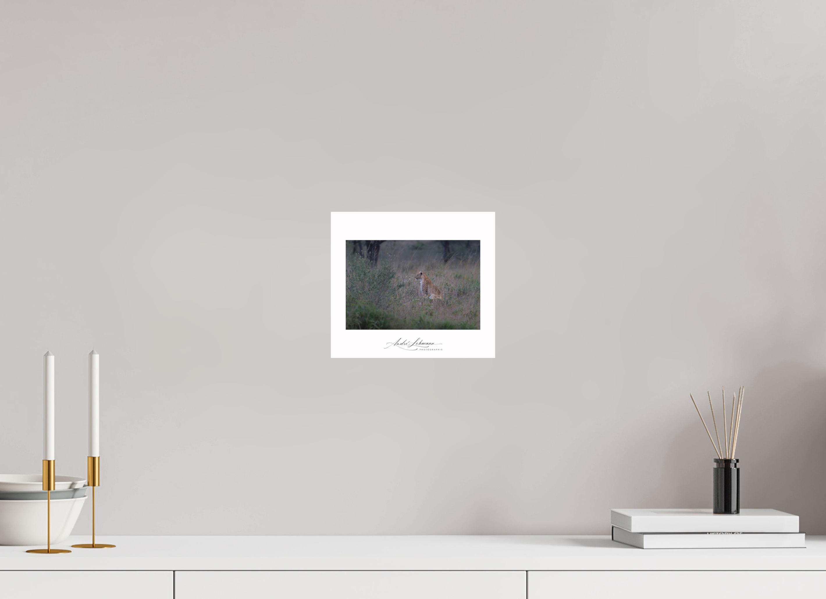 22.5 x 20 cm, Foto-Druck auf Alu-Dibond Leopard in high grass