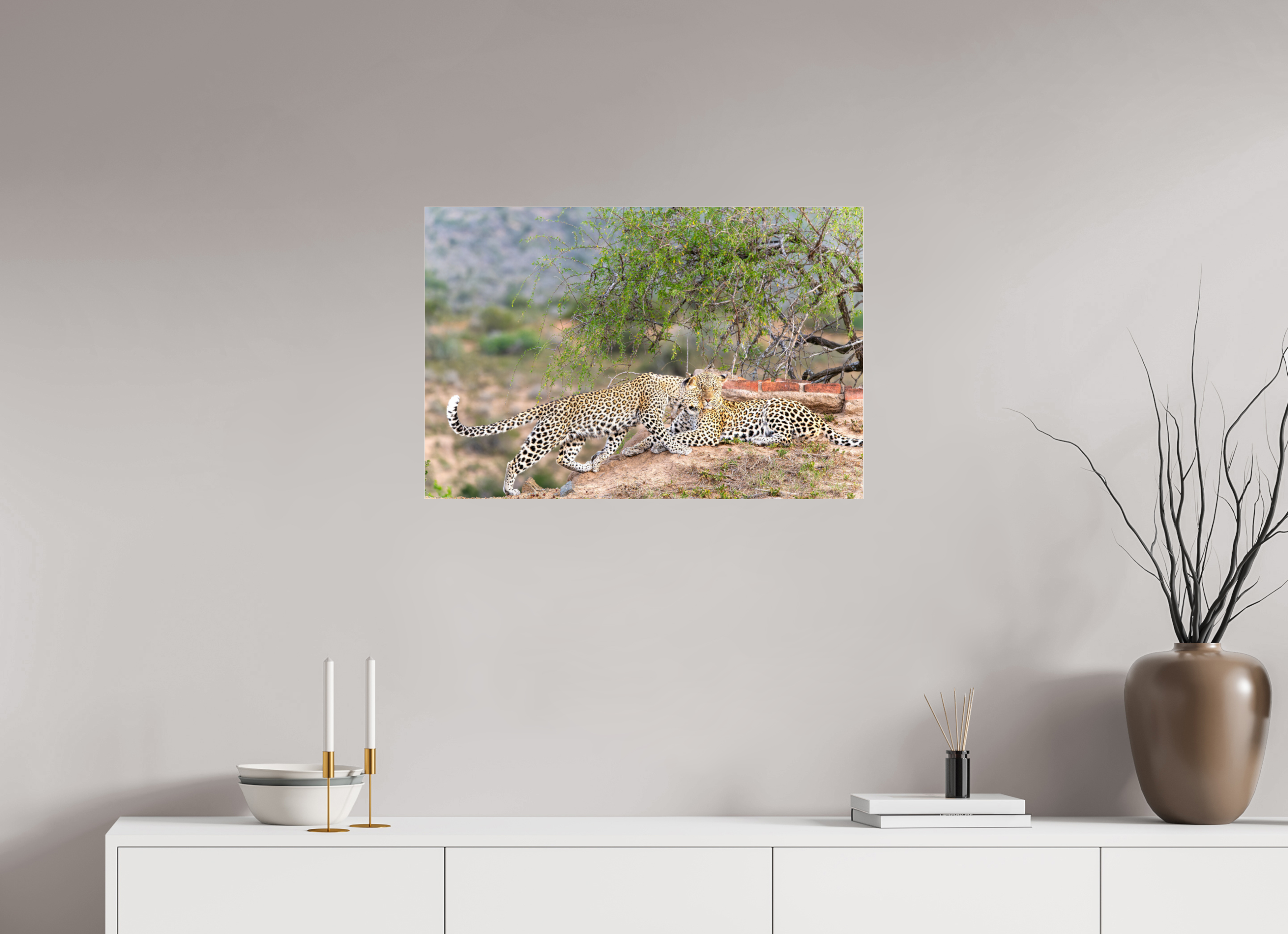 75 x 50 cm, Photo Print Under Acrylic Glass Two Leopards