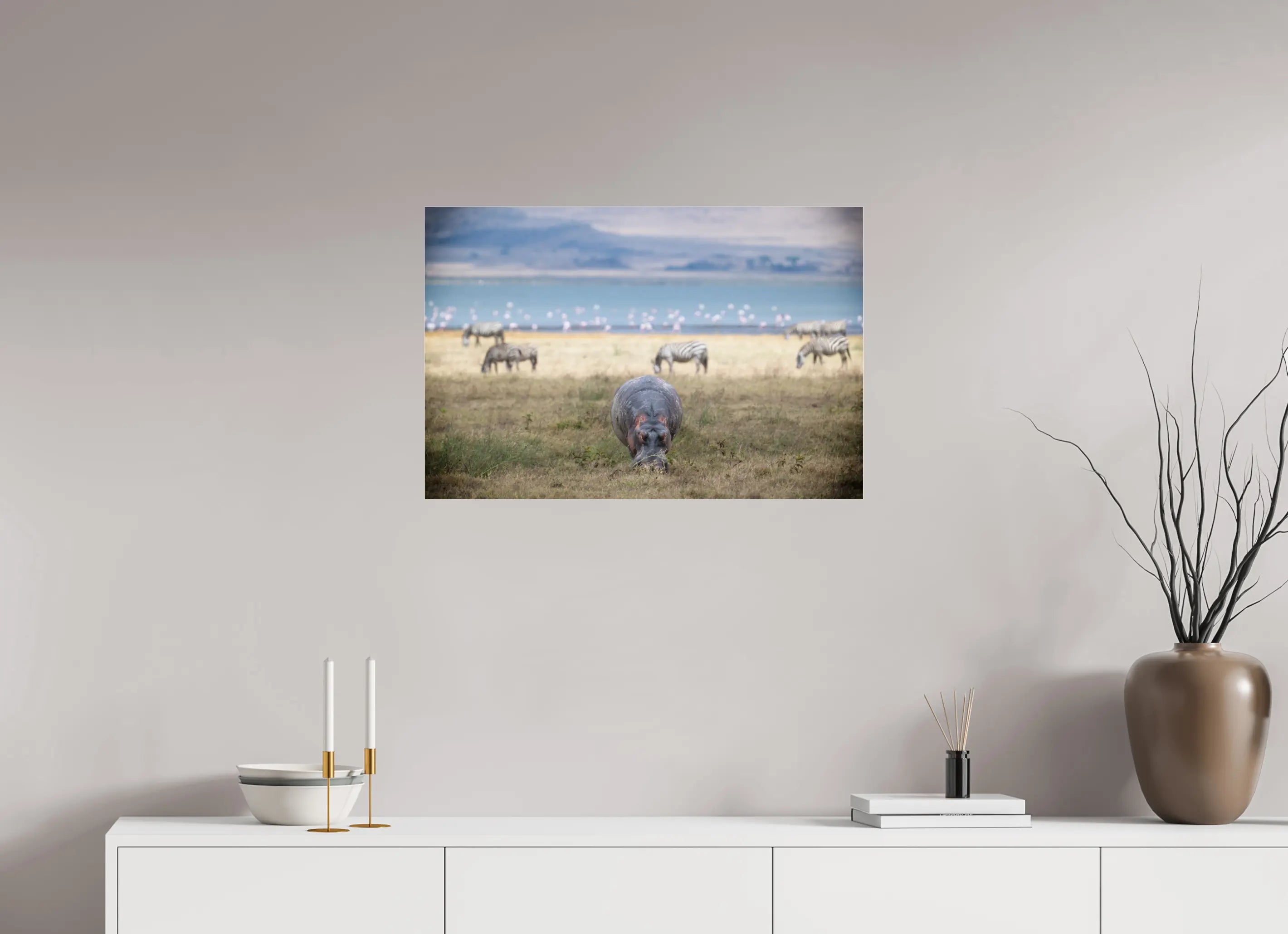75 x 50 cm, Photo Print Under Acrylic Glass Hippo grazing