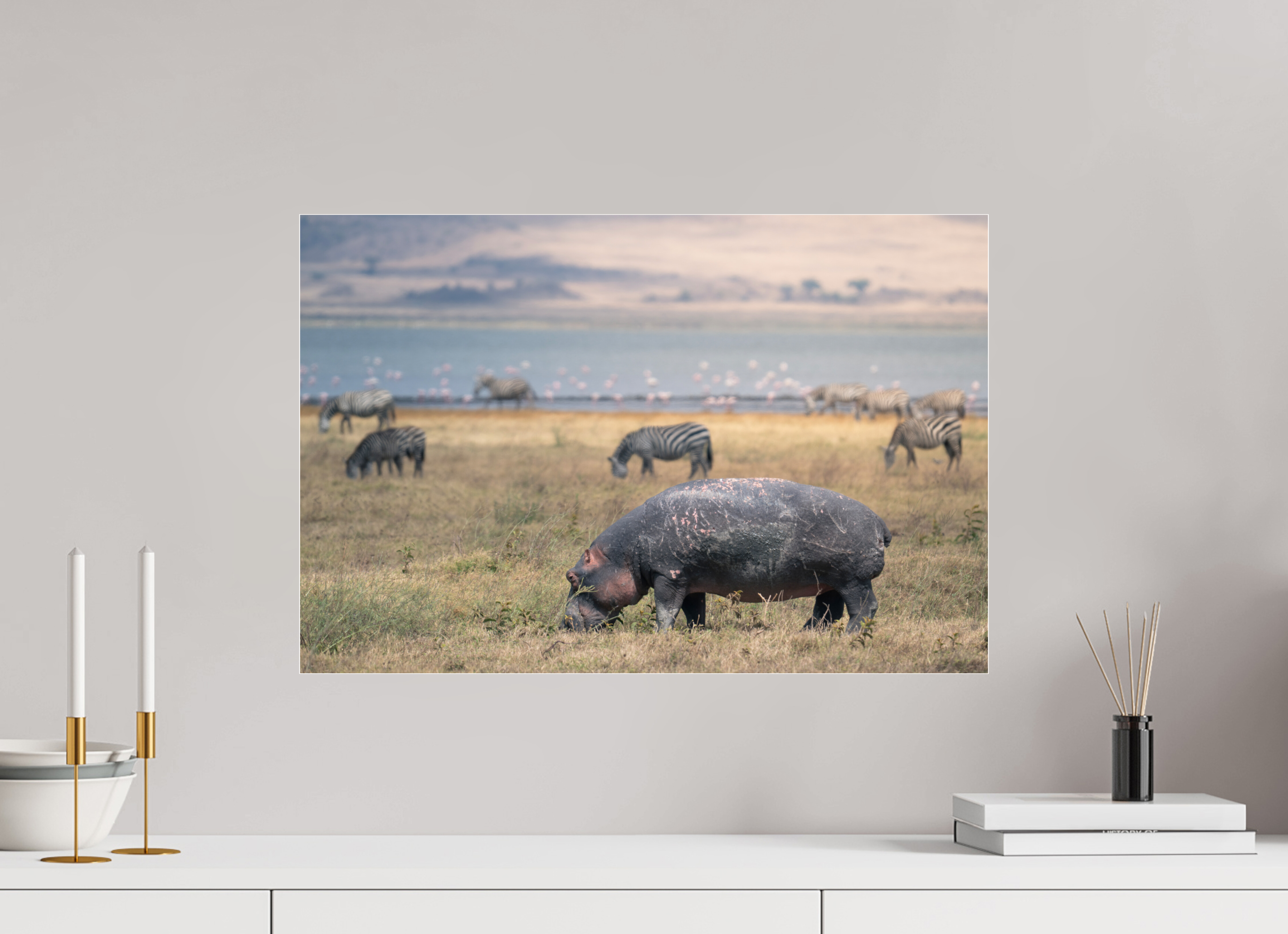 60 x 40 cm, Photo Print Under Acrylic Glass Hippo out of the water