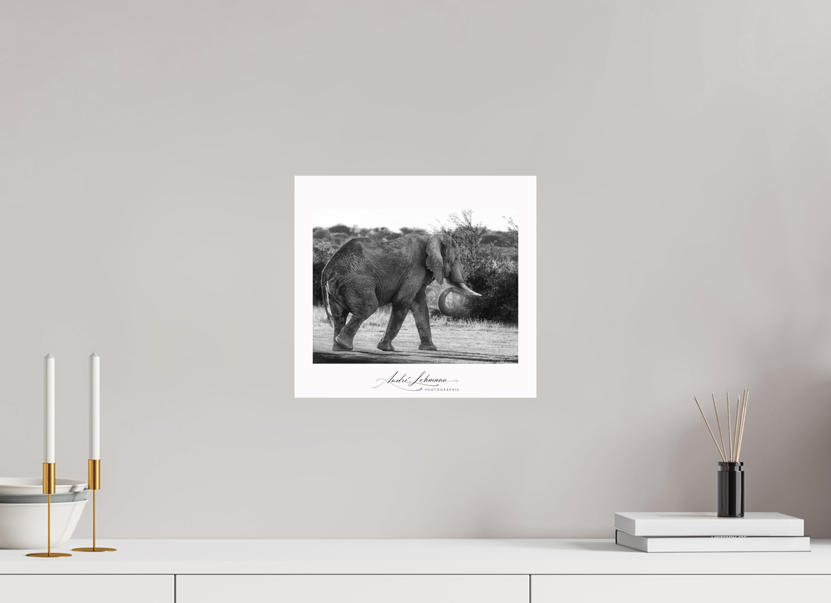 32.7 x 30 cm, Foto-Druck auf Alu-Dibond Elephant black and white (Alu dibond)