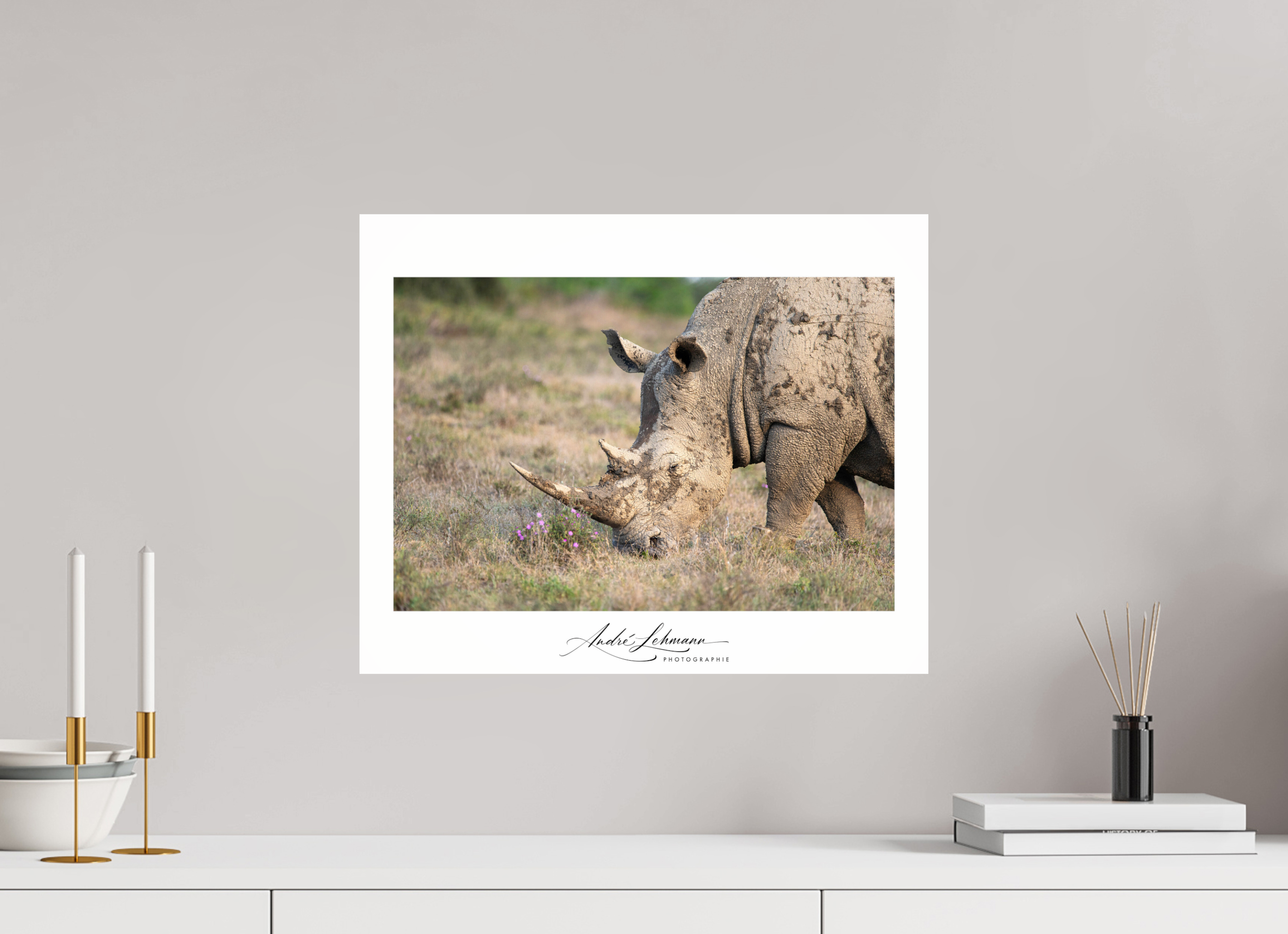 49.5 x 40 cm, Photo Print Under Acrylic Glass Rhino