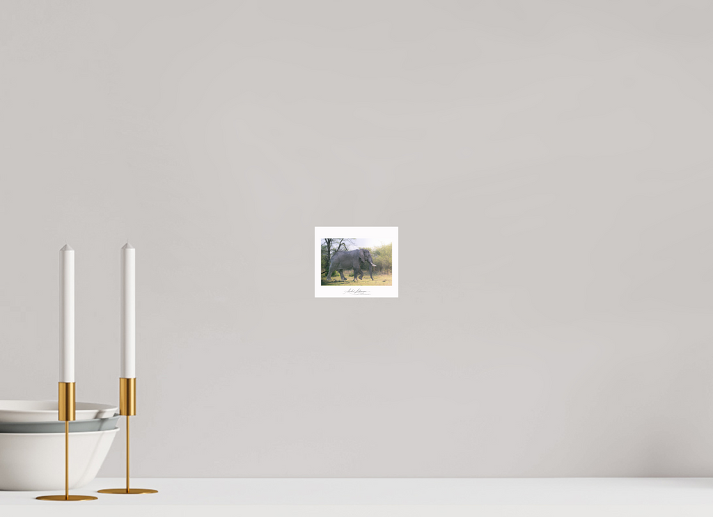 11.8 x 10 cm, Photo Print Under Acrylic Glass Walking giant