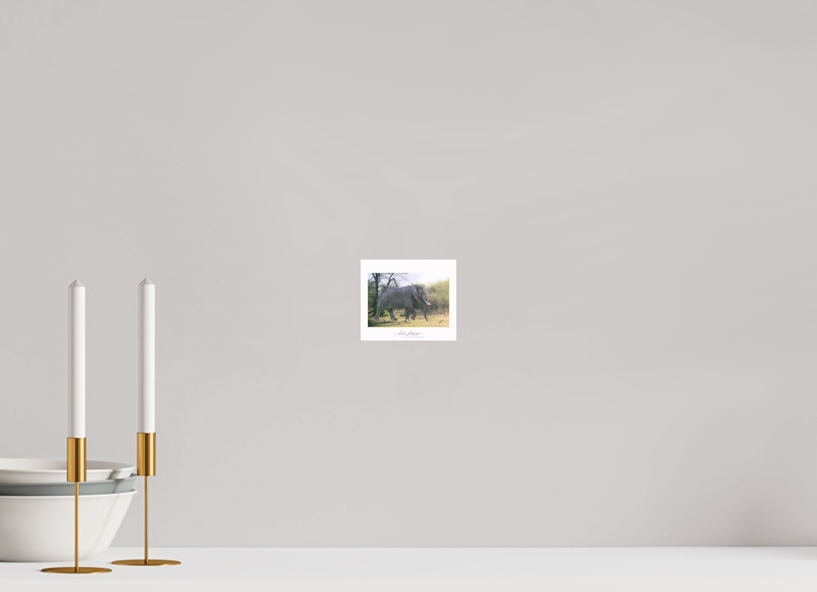 11.8 x 10 cm, Photo Print Under Acrylic Glass Walking giant