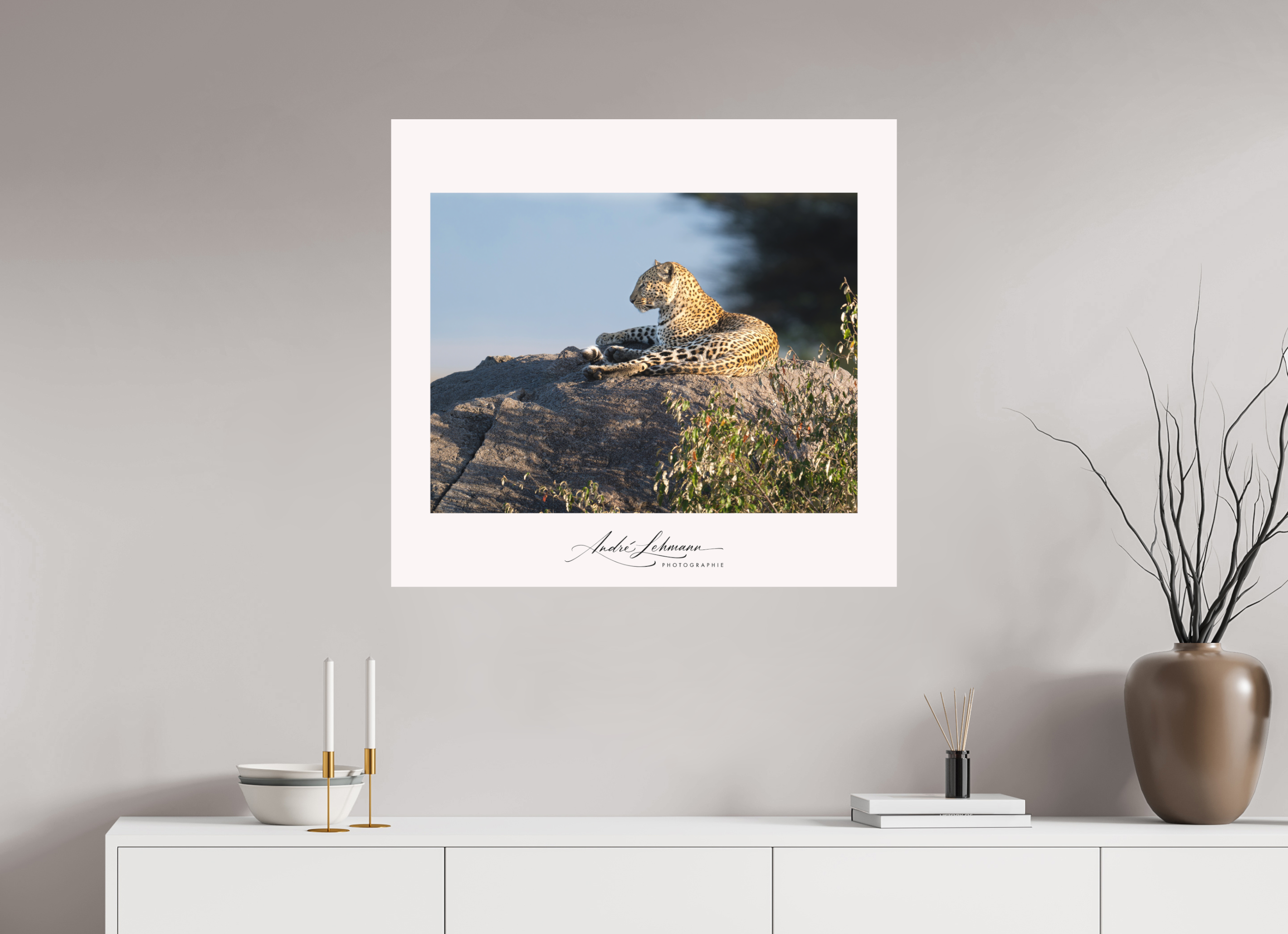 86.5 x 80 cm, Foto-Druck auf Alu-Dibond Leopard scanning the horizon (Alu dibond)