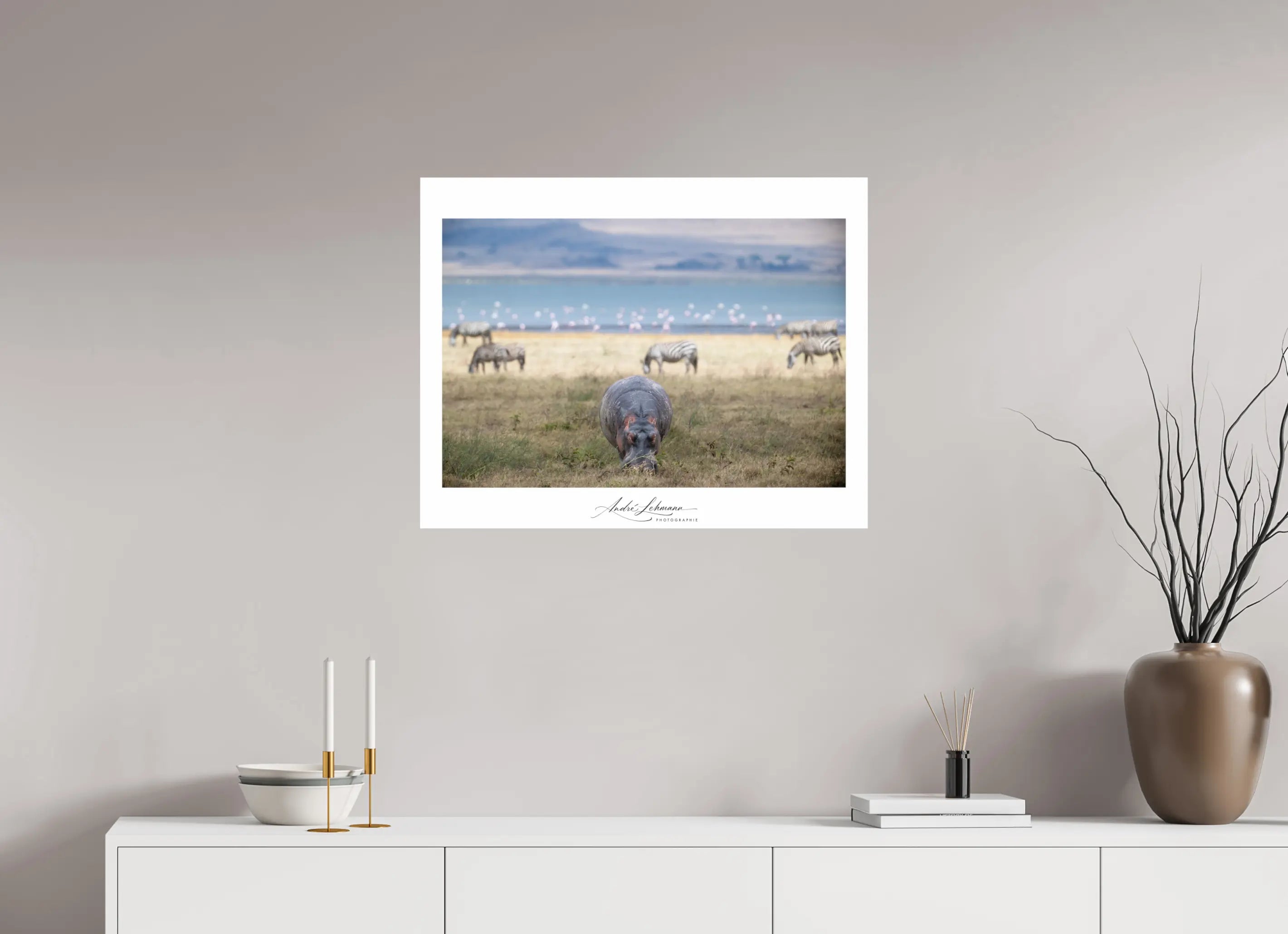 76.5 x 60 cm, Photo Print Under Acrylic Glass Hippo grazing