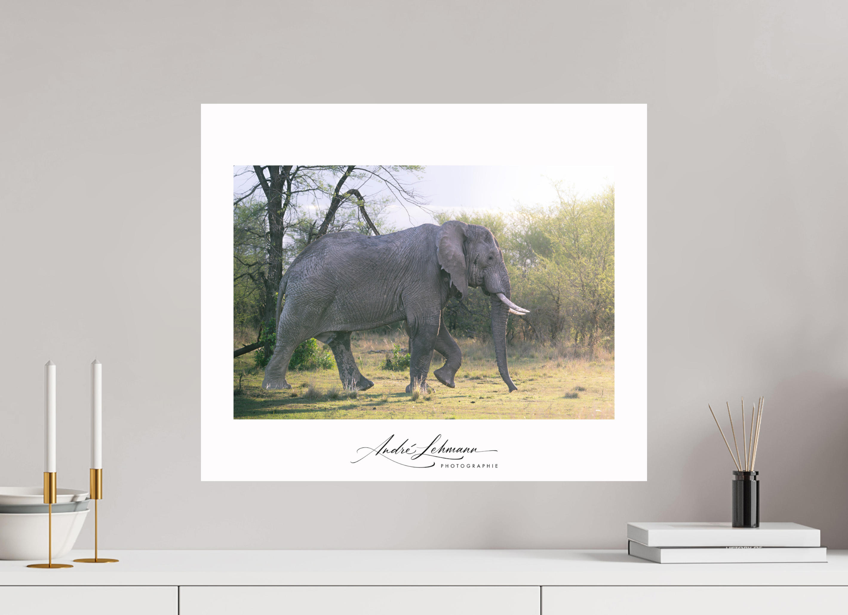 59.1 x 50 cm, Foto-Druck auf Alu-Dibond Giant walking