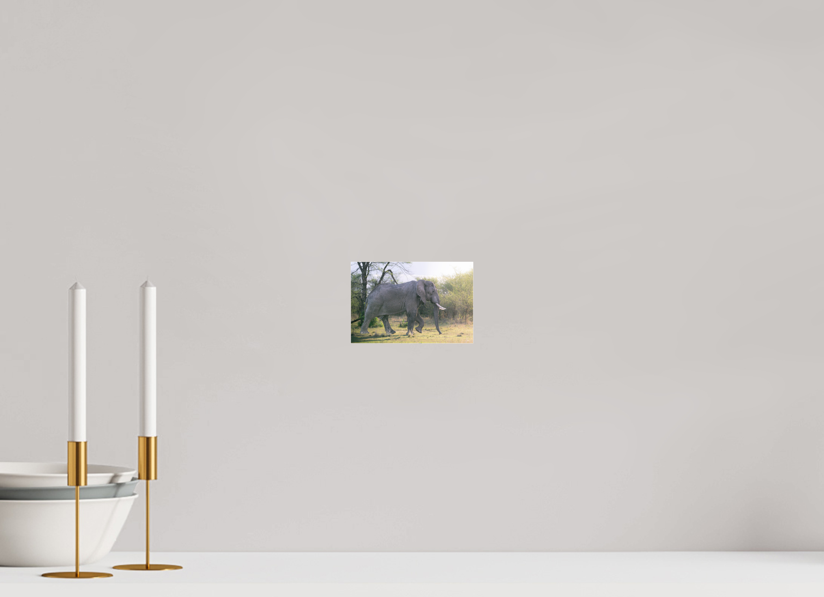 15 x 10 cm, Photo Print Under Acrylic Glass Walking giant (no frame)