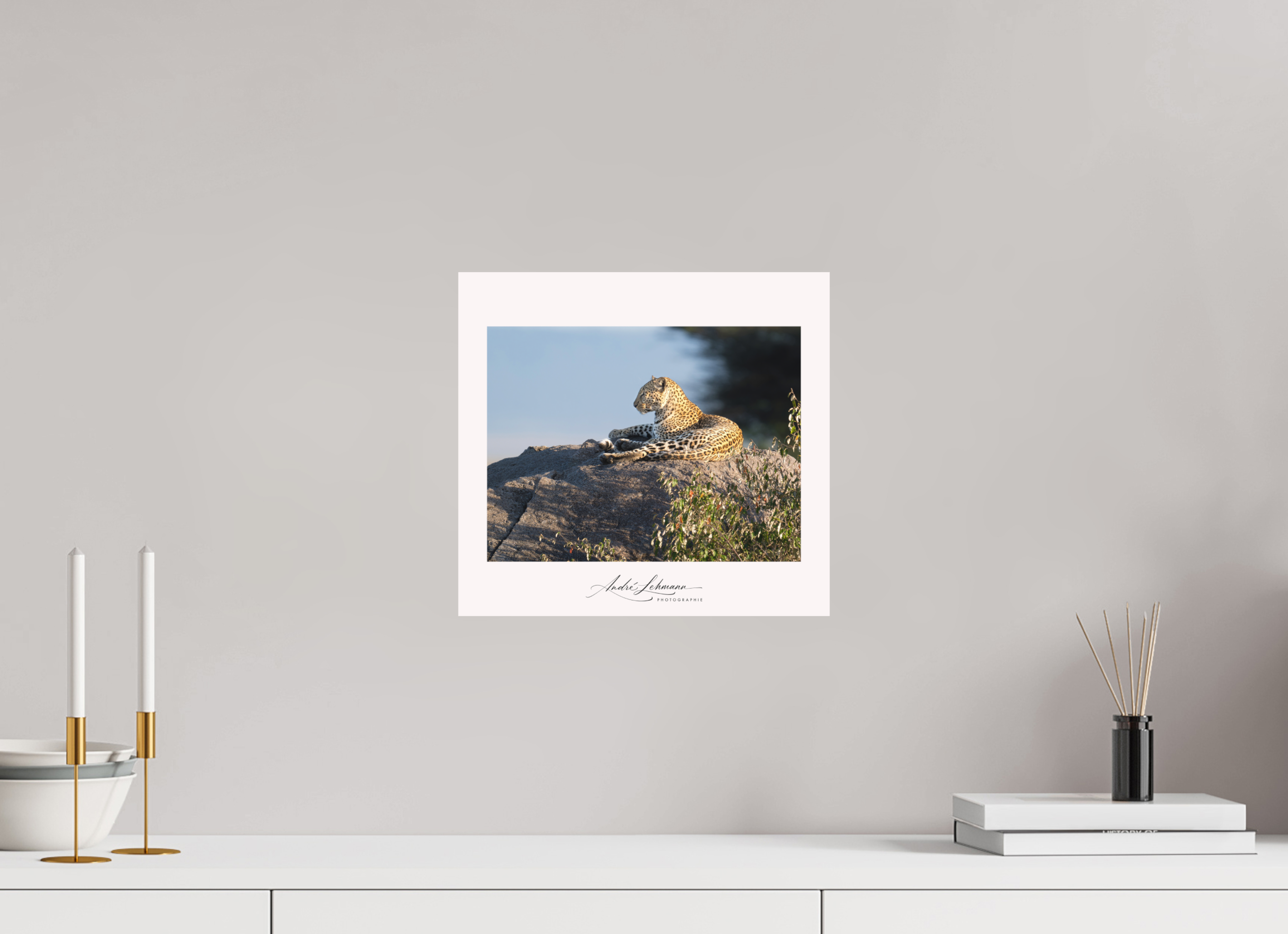 32.4 x 30 cm, Foto-Druck auf Alu-Dibond Leopard scanning the horizon (Alu dibond)