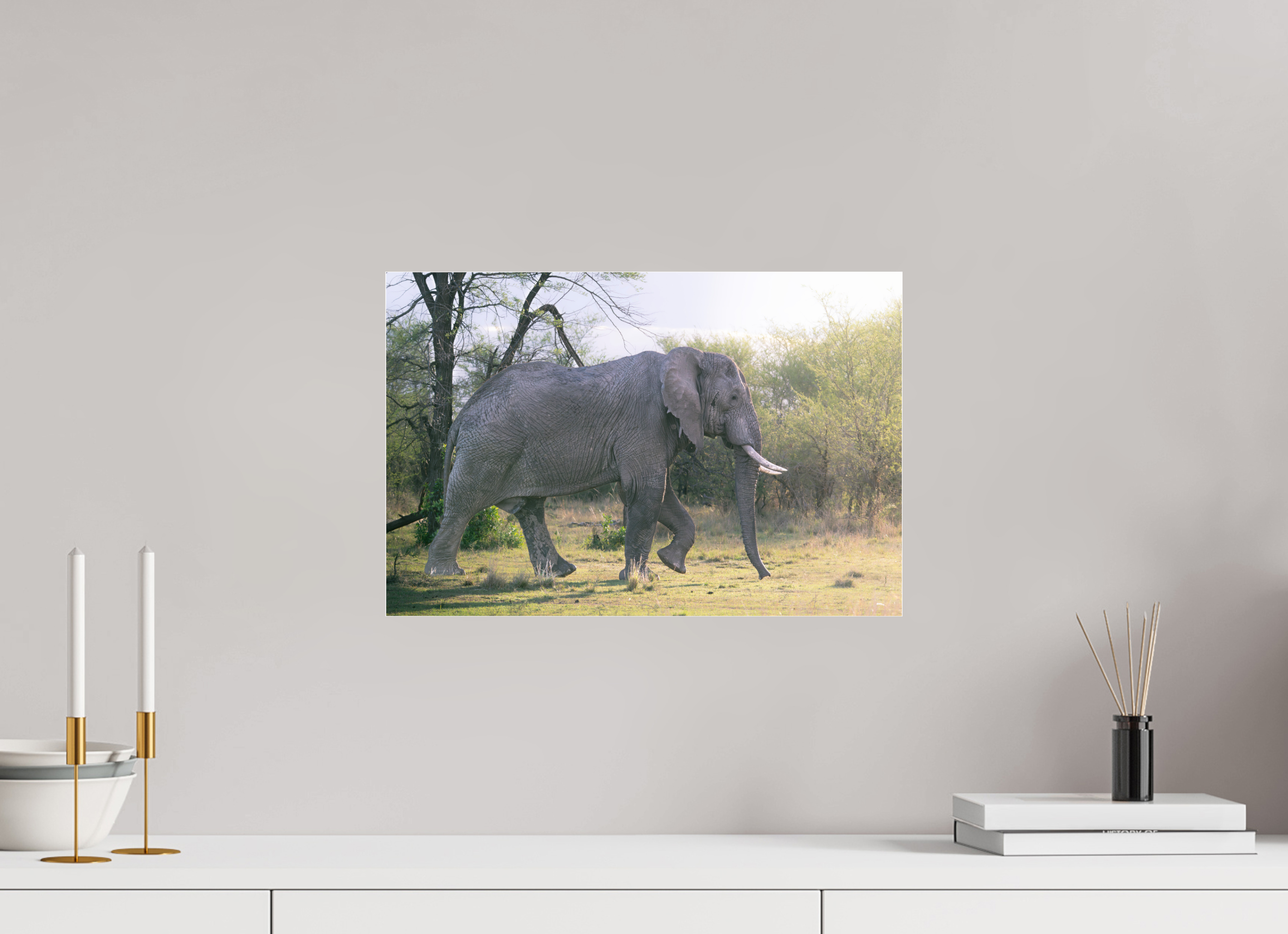 45 x 30 cm, Photo Print Under Acrylic Glass Walking giant (no frame)