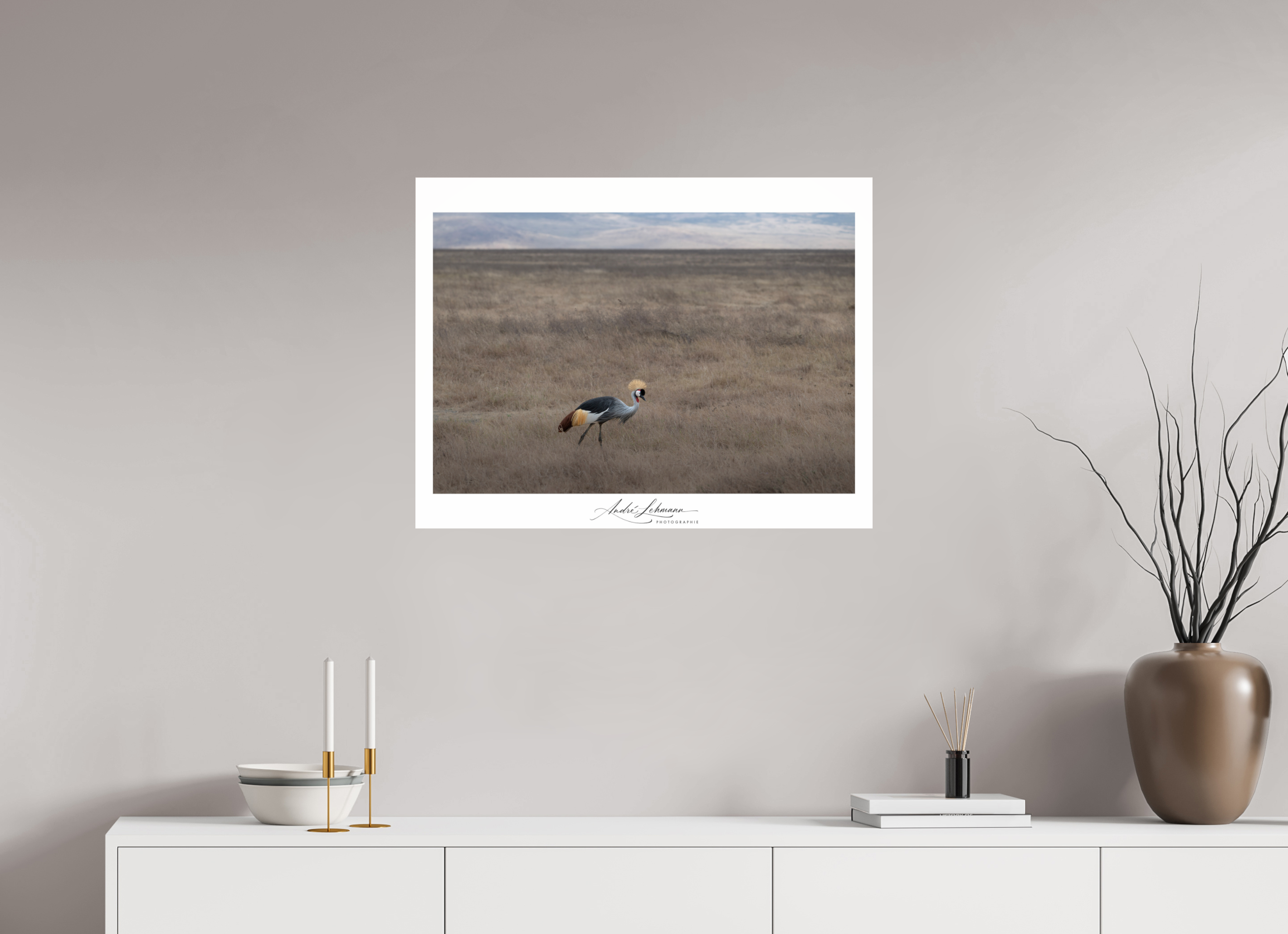 78.1 x 60 cm, Photo Print Under Acrylic Glass Grey Crowned Crane