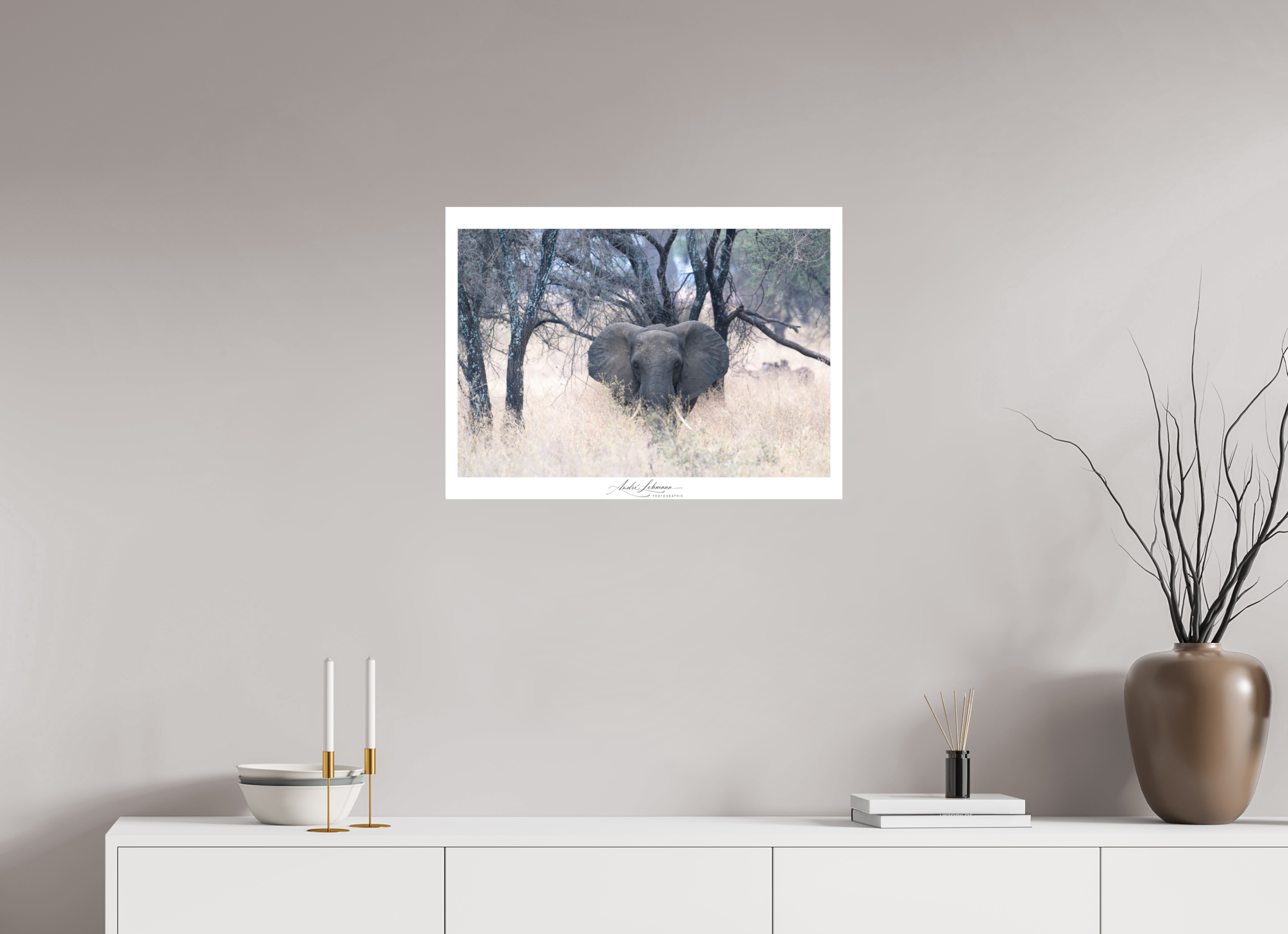 67.9 x 50 cm, Foto-Druck auf Alu-Dibond African Elephant