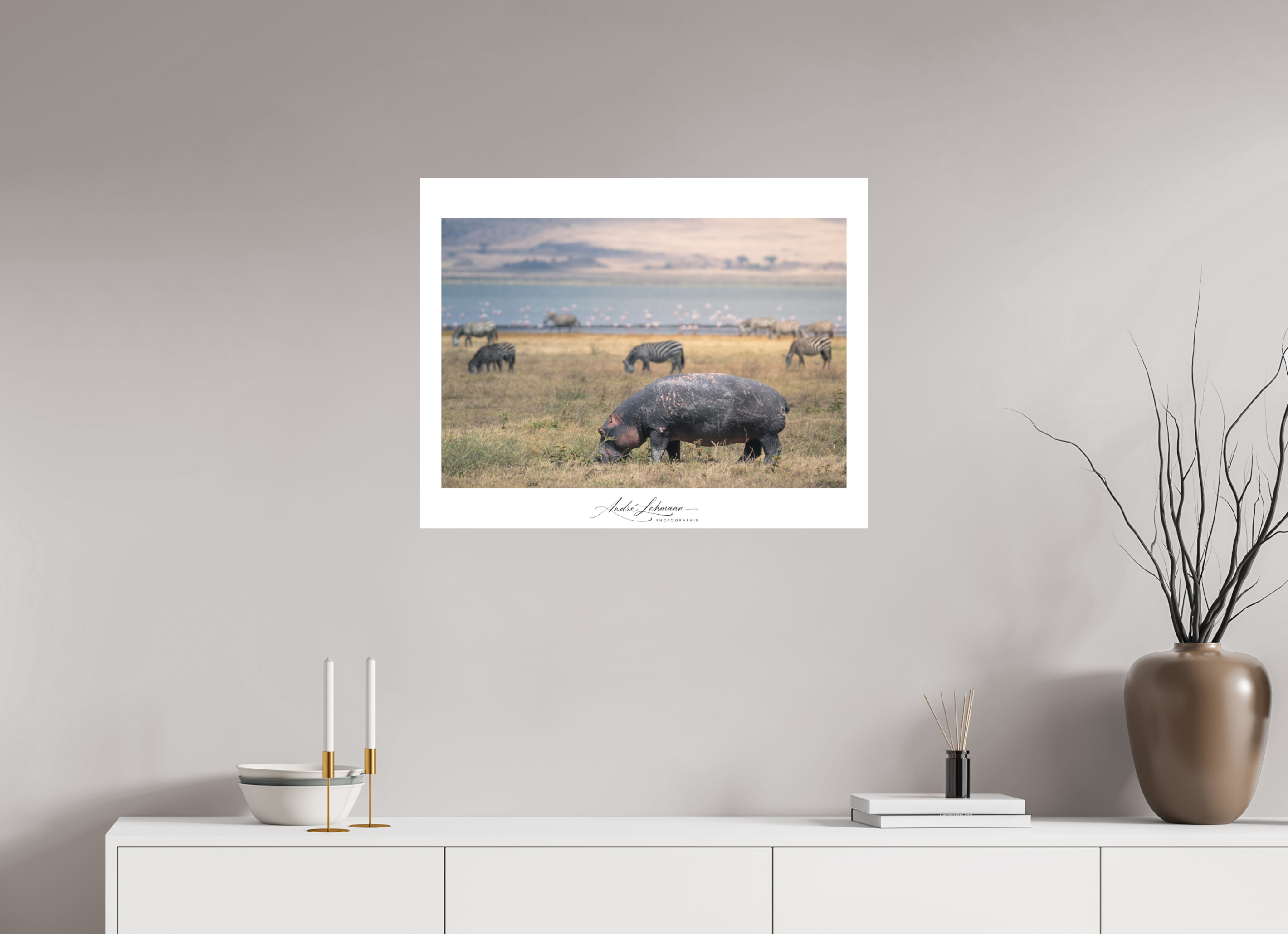 76.7 x 60 cm, Foto-Druck auf Alu-Dibond Hippo out of the water (Alu dibond)