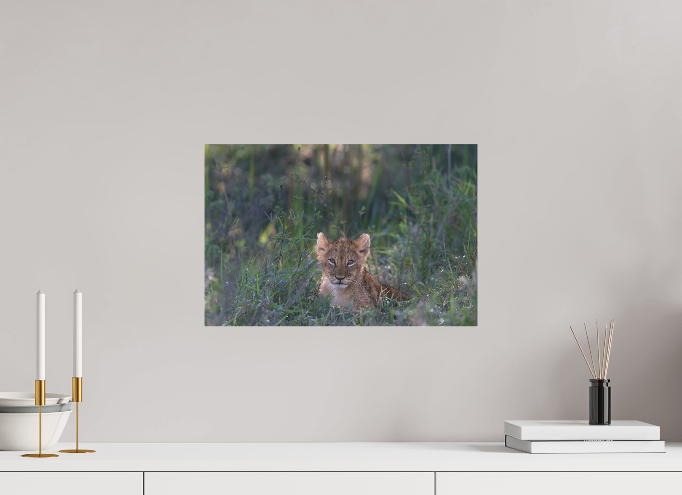 45 x 30 cm, Photo Print Under Acrylic Glass Lionb cub (no frame)