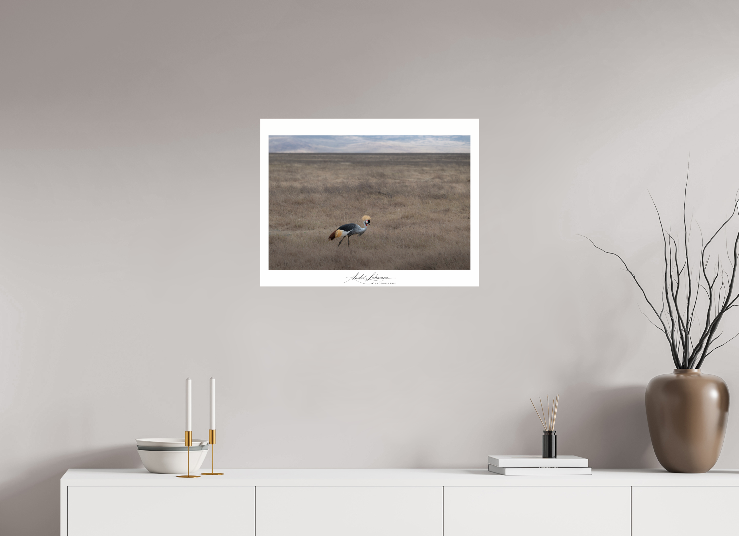 65.1 x 50 cm, Photo Print Under Acrylic Glass Grey Crowned Crane