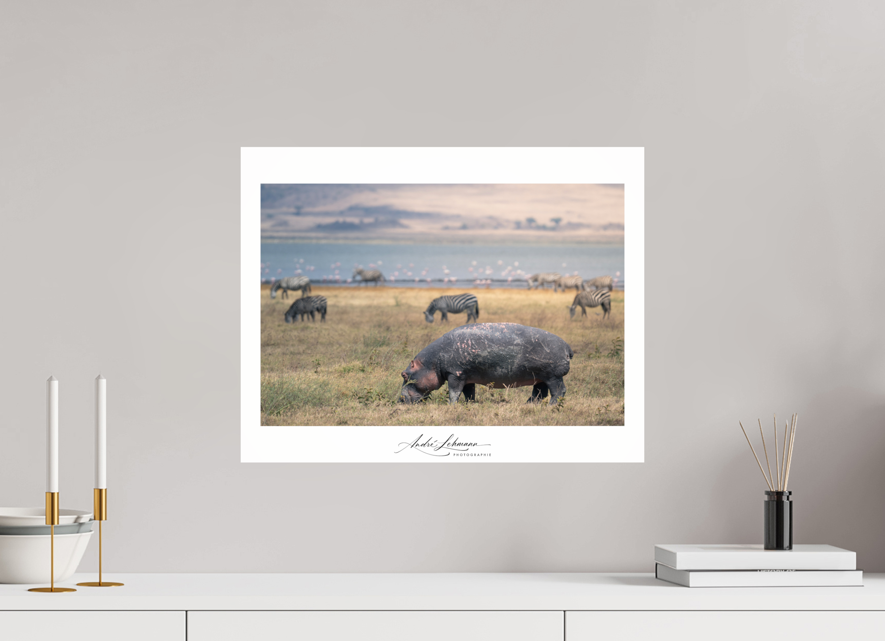 51.1 x 40 cm, Photo Print Under Acrylic Glass Hippo out of the water