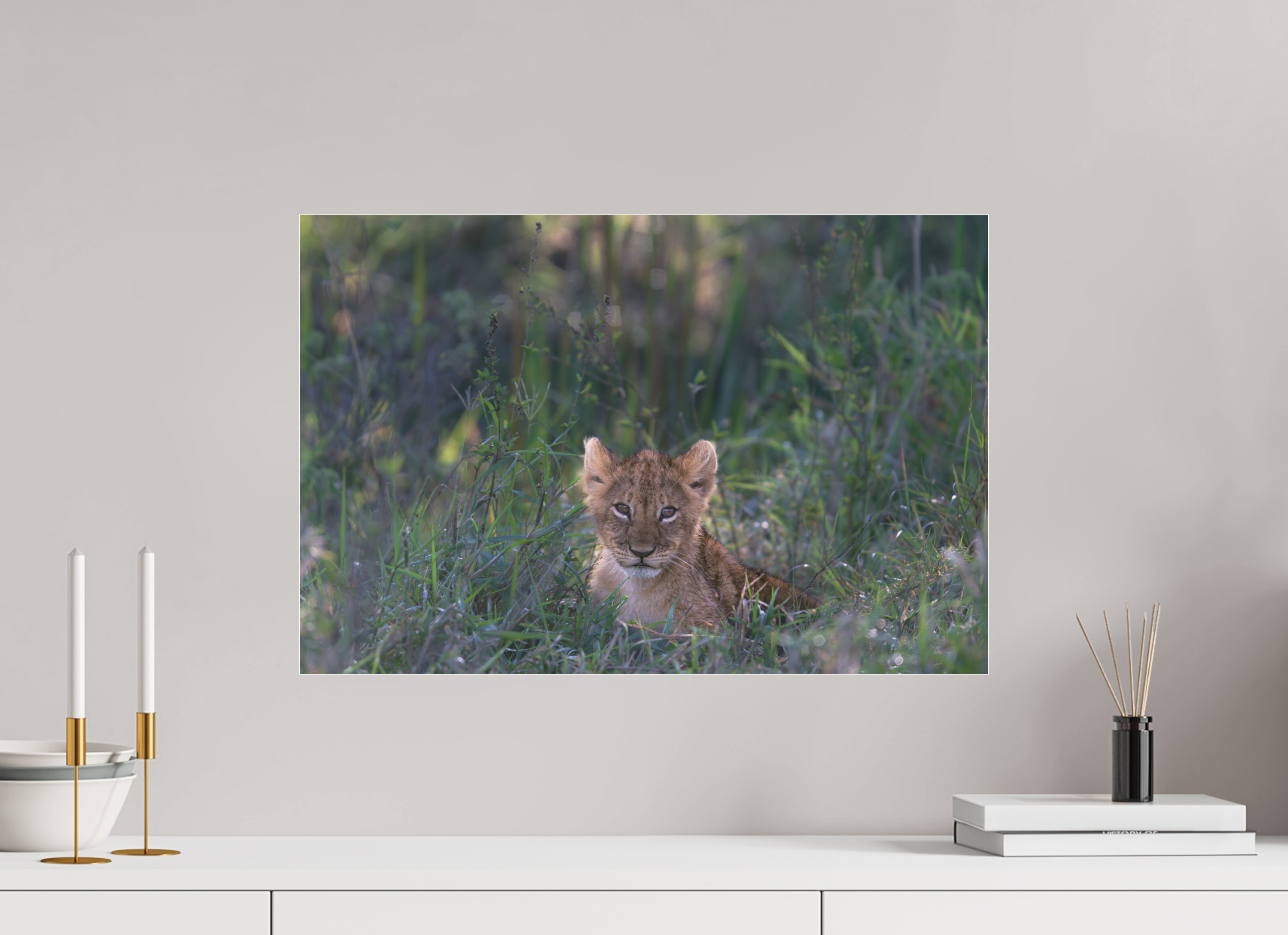 60 x 40 cm, Photo Print Under Acrylic Glass Lionb cub (no frame)