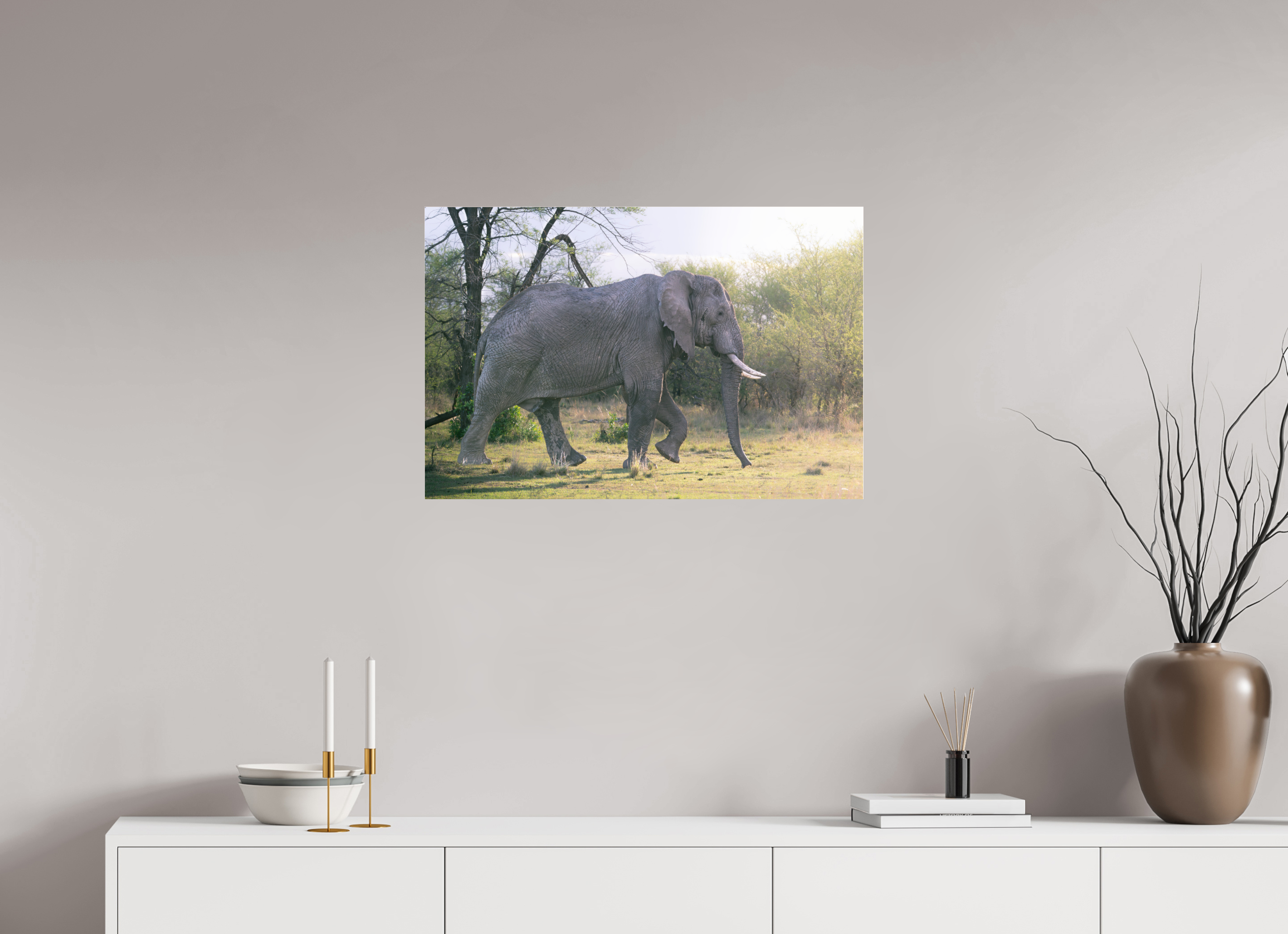 75 x 50 cm, Photo Print Under Acrylic Glass Walking giant (no frame)