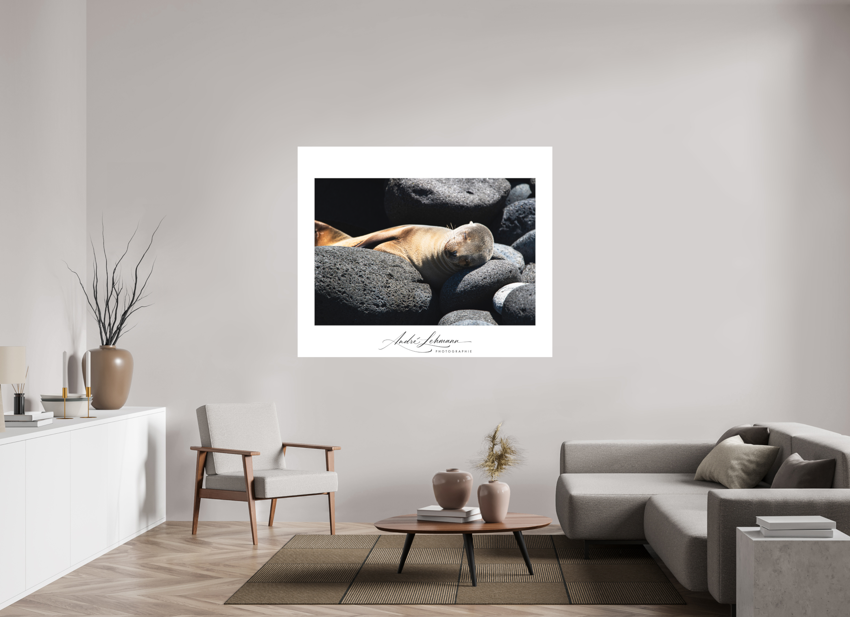 157.4 x 130 cm, Foto-Druck auf Alu-Dibond Galapagos Sea Lion