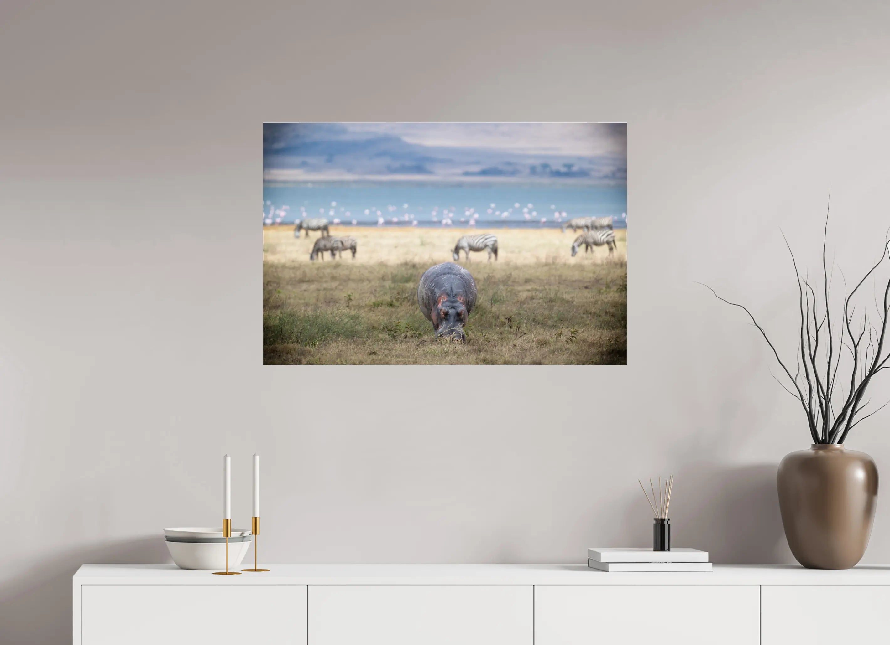 90 x 60 cm, Photo Print Under Acrylic Glass Hippo grazing