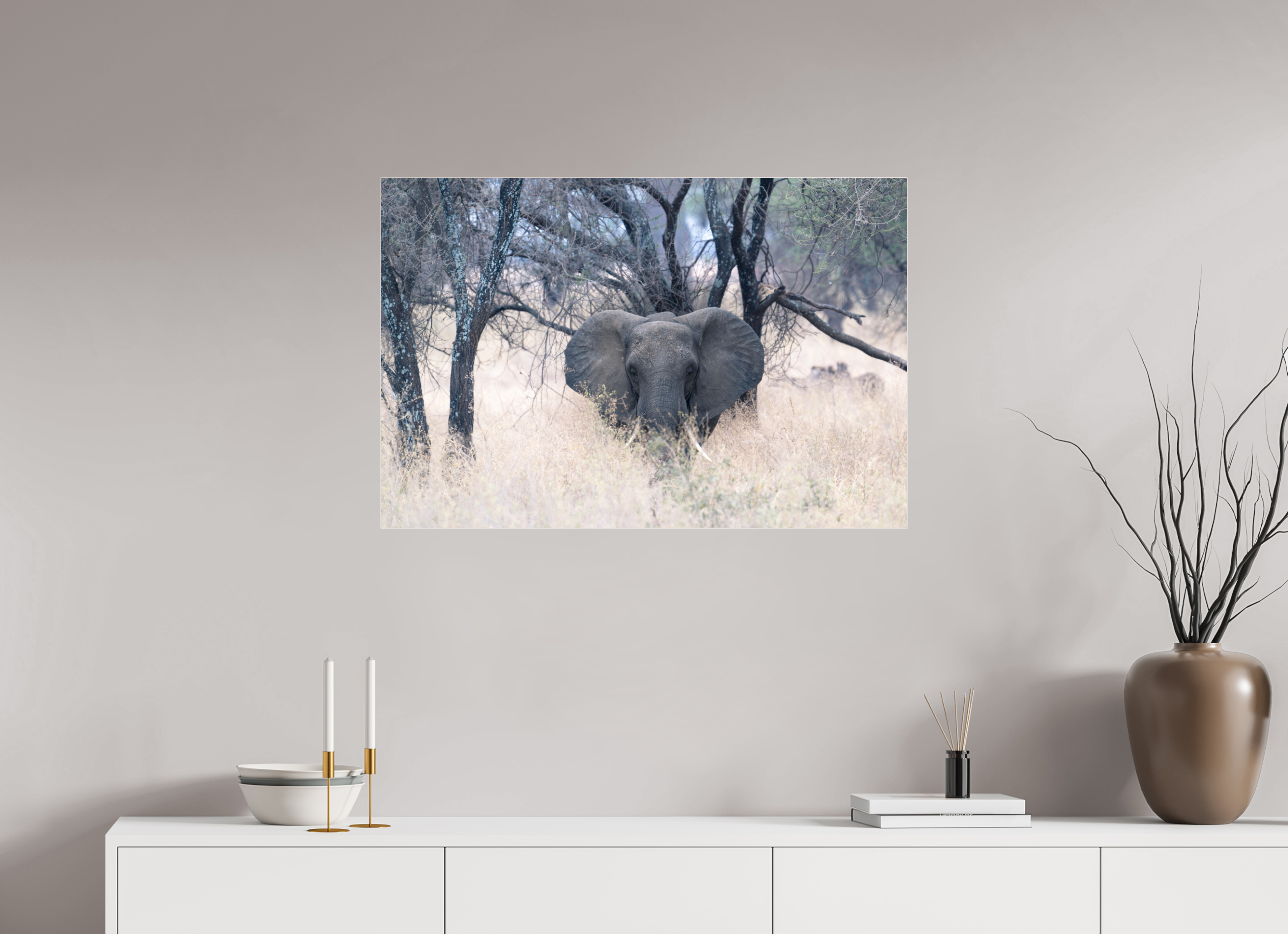 90 x 60 cm, Photo Print Under Acrylic Glass Elephant in the Savanna (no frame)