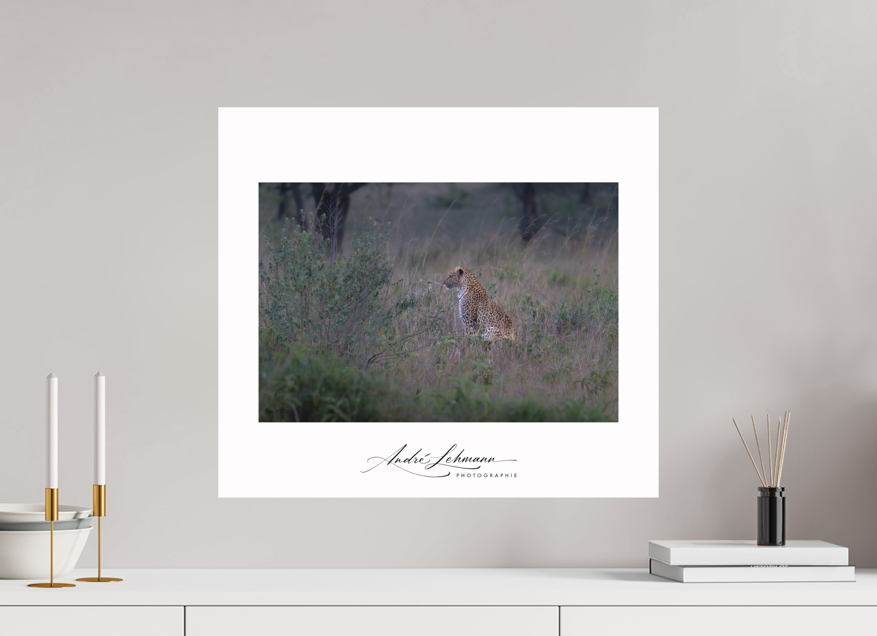 56.4 x 50 cm, Foto-Druck auf Alu-Dibond Leopard in high grass