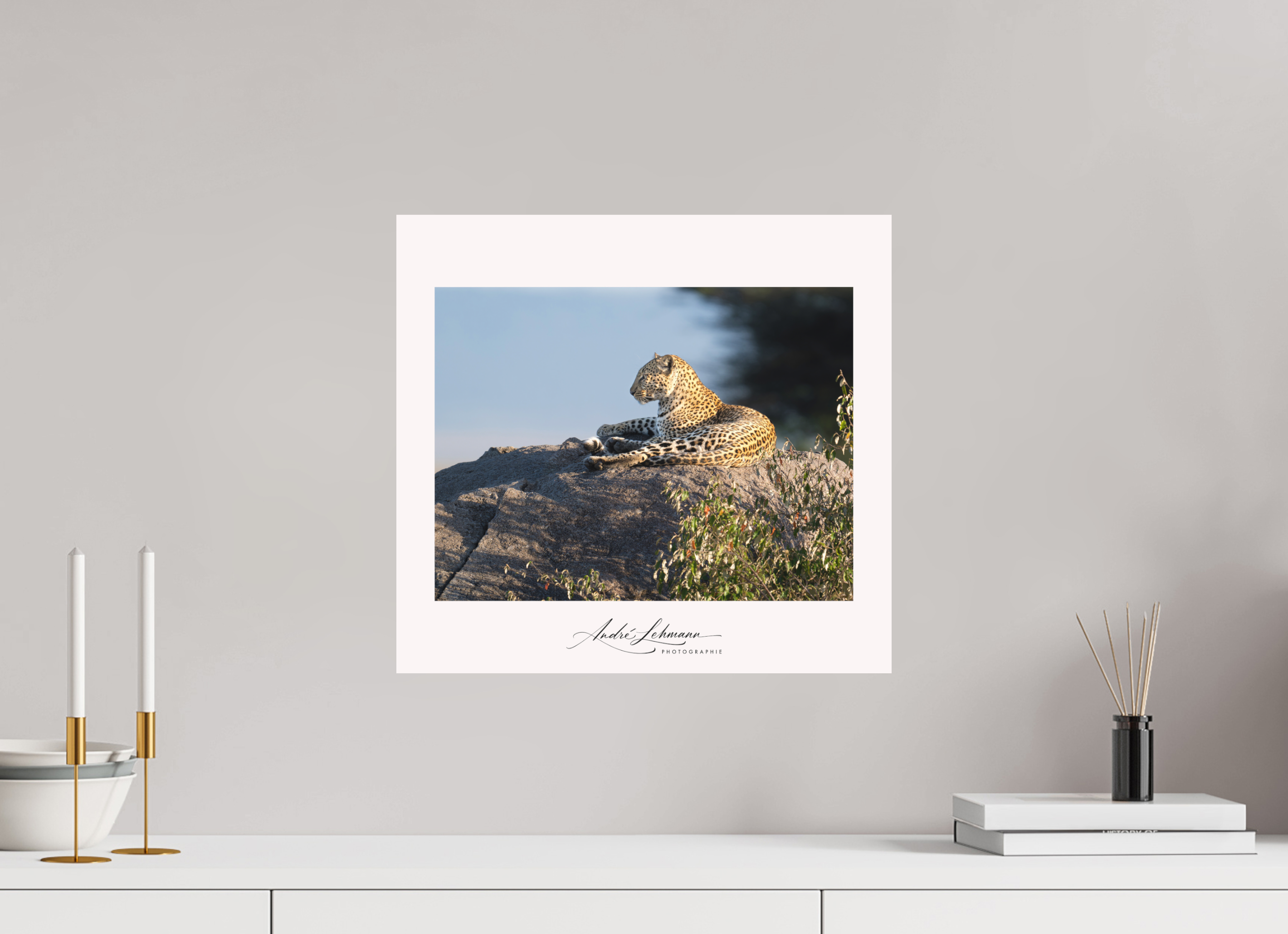 43.2 x 40 cm, Foto-Druck auf Alu-Dibond Leopard scanning the horizon (Alu dibond)
