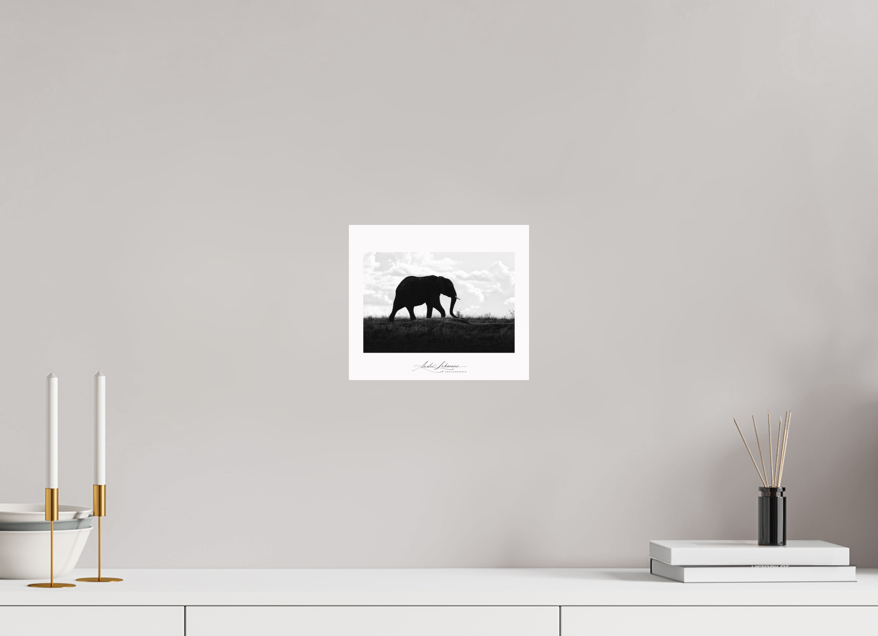 23.2 x 20 cm, Foto-Druck auf Alu-Dibond Elephant strolling