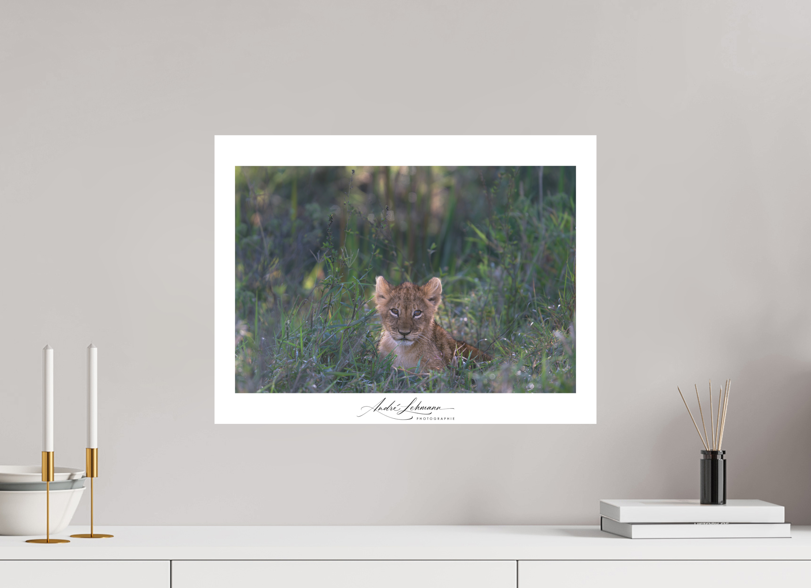 52.9 x 40 cm, Foto-Druck auf Alu-Dibond Lion Cub (Alu Dibond)