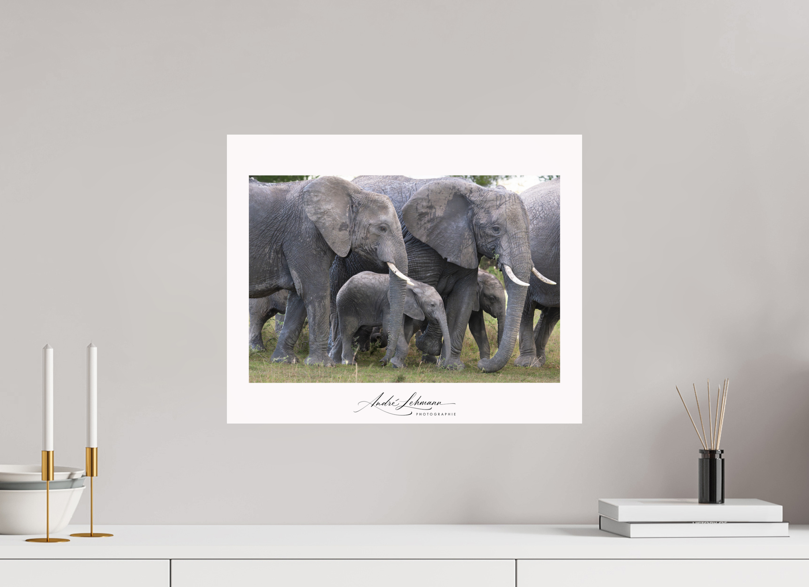 49.2 x 40 cm, Photo Print Under Acrylic Glass Elephant calf