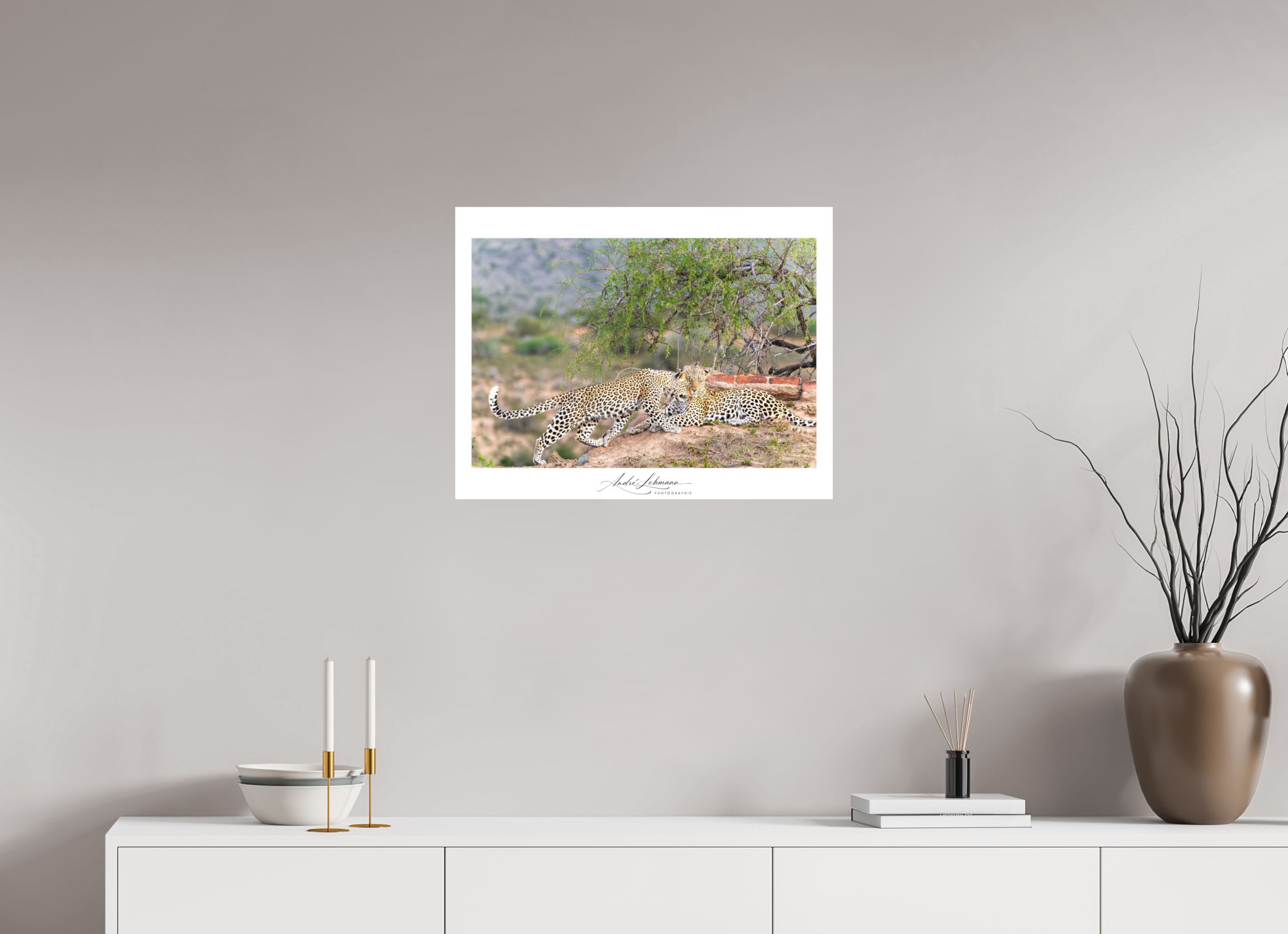 64.6 x 50 cm, Foto-Druck auf Alu-Dibond Two Leopards (Alu Dibond)