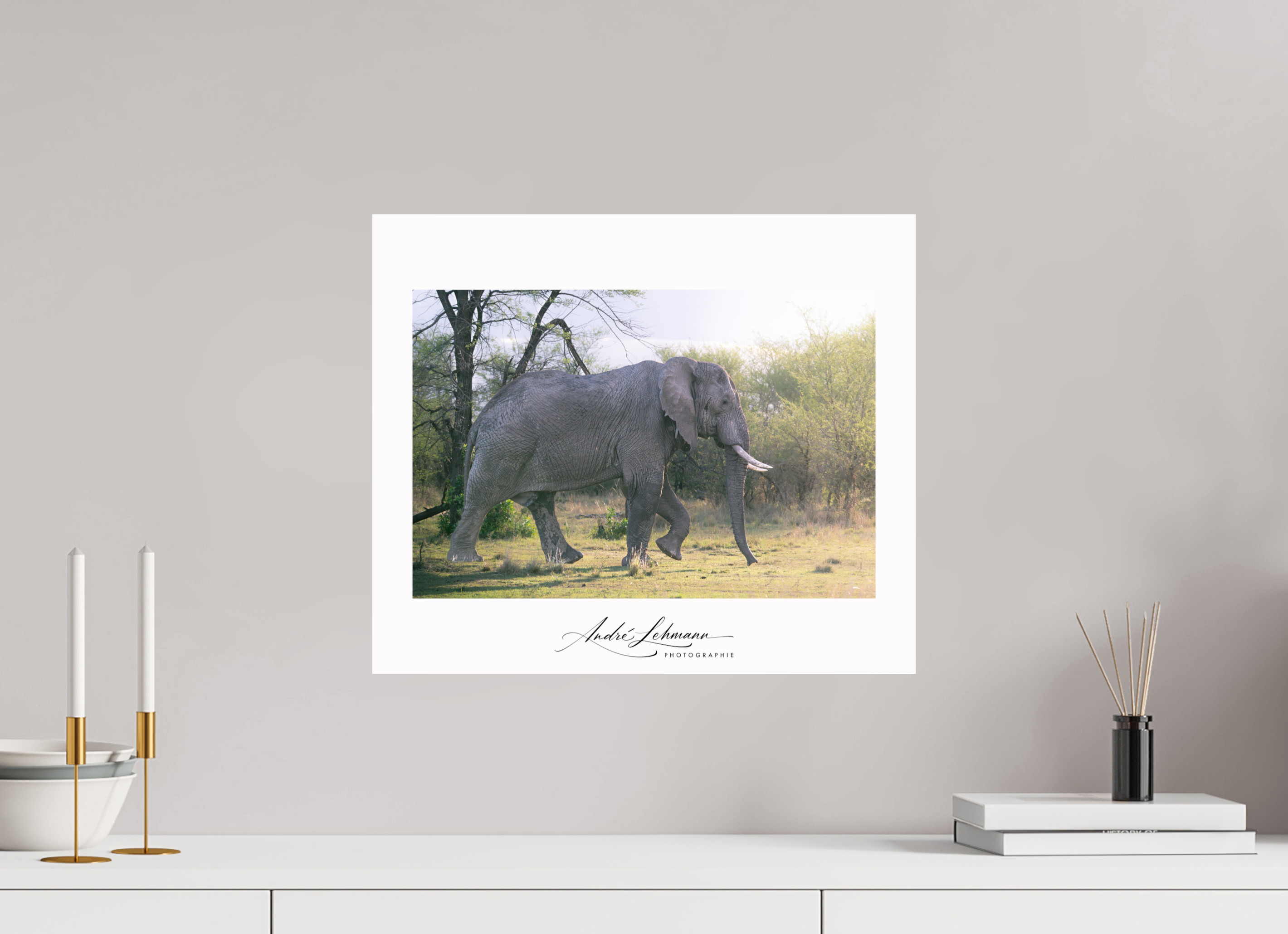 47.3 x 40 cm, Photo Print Under Acrylic Glass Walking giant