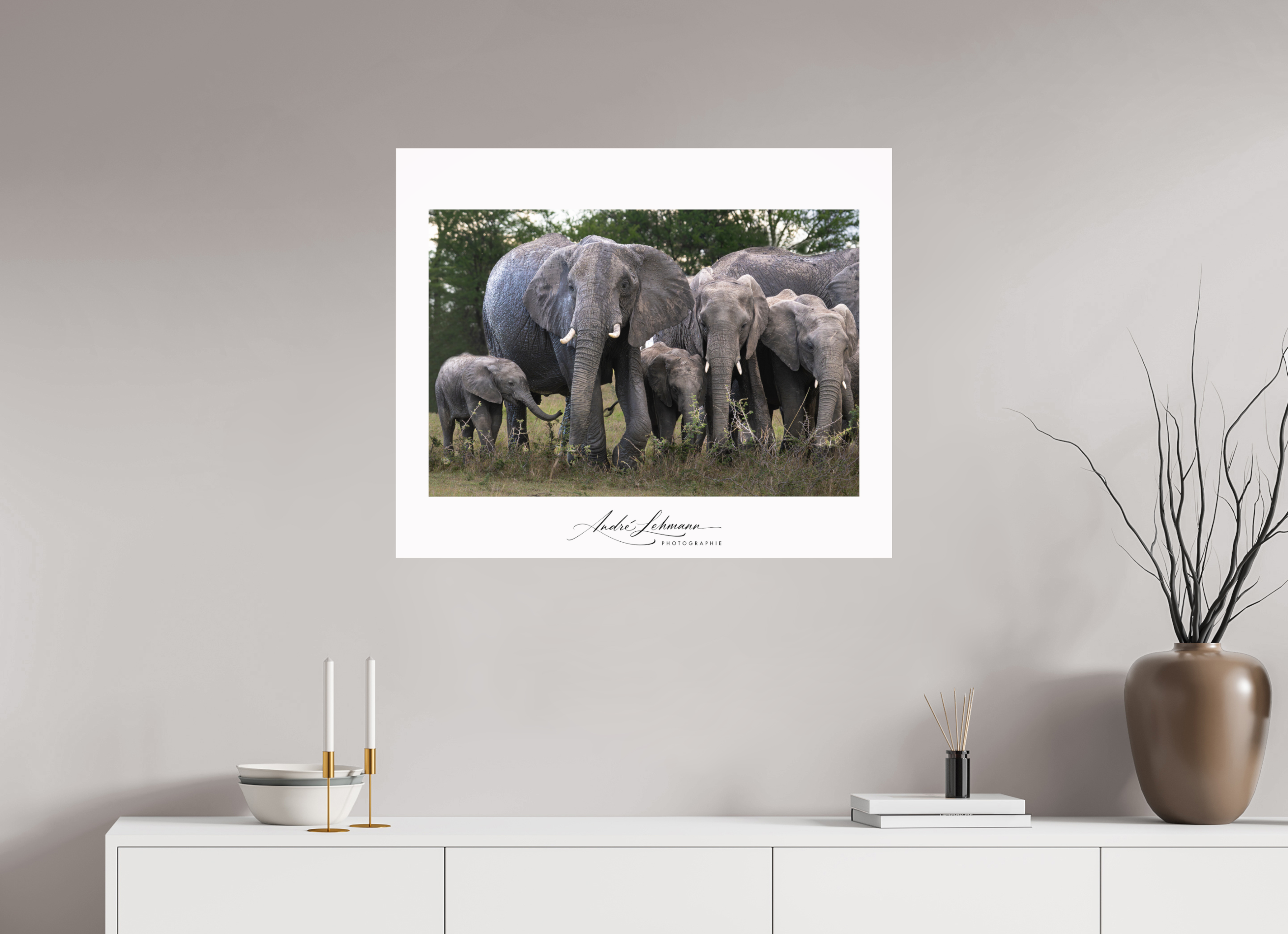 84.8 x 70 cm, Photo Print Under Acrylic Glass Happy Elephant family
